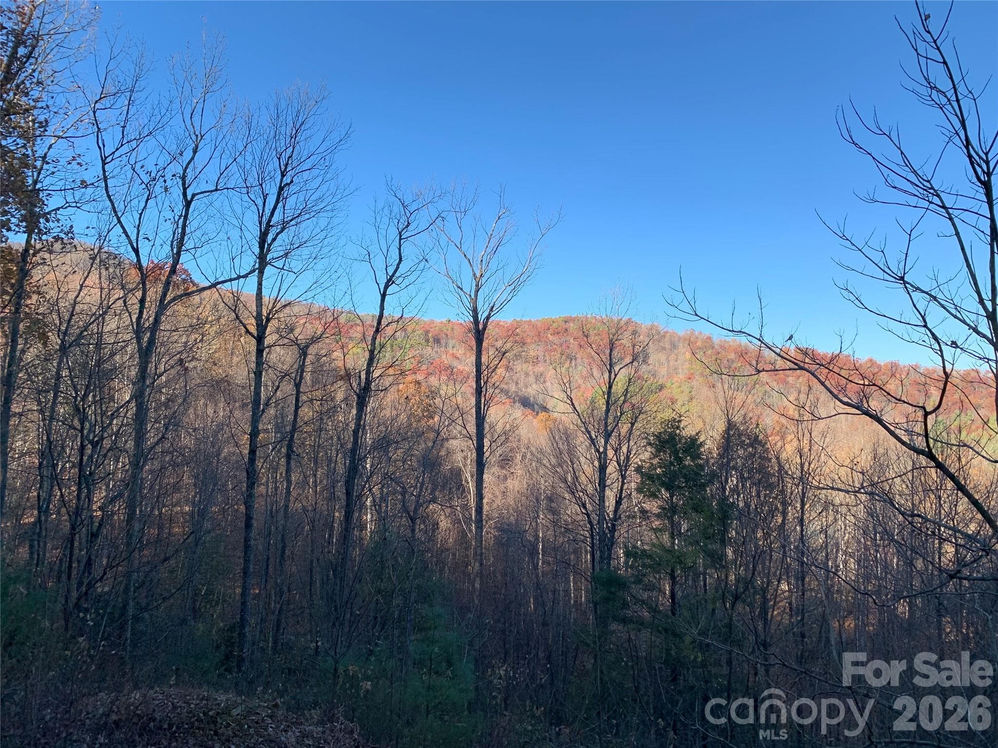 Looking Back to Road - Lenoir