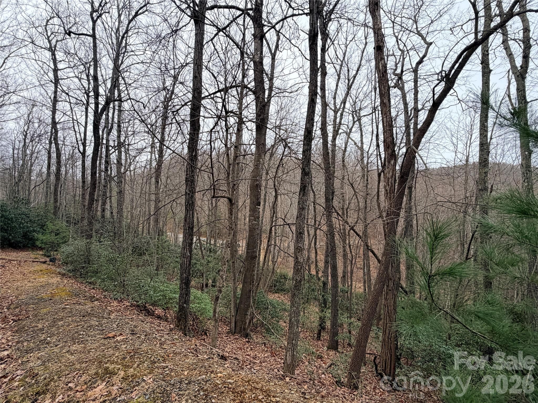 Lot at Lenoir, photo 13 of 14