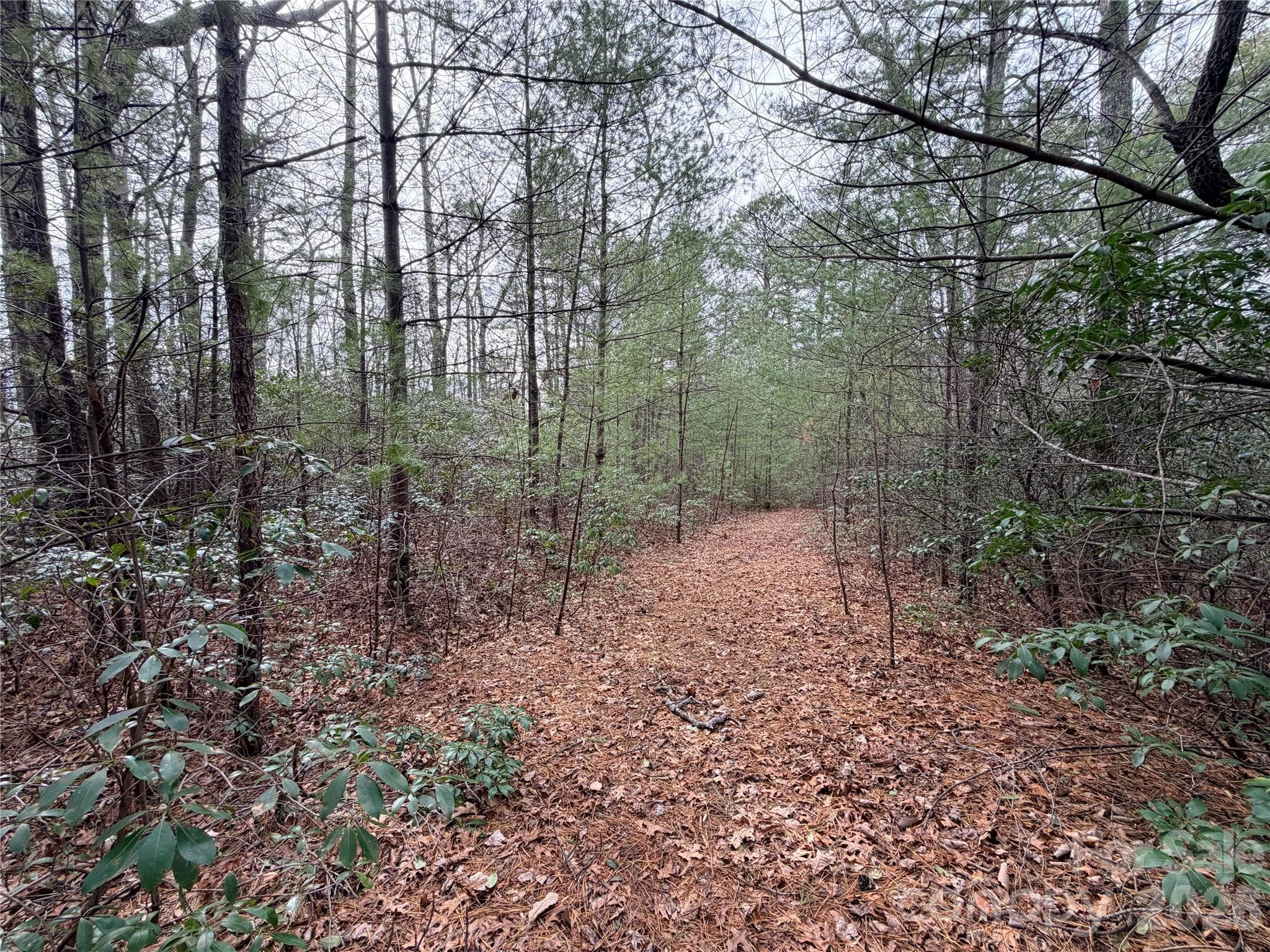 Lot at Lenoir, photo 4 of 18