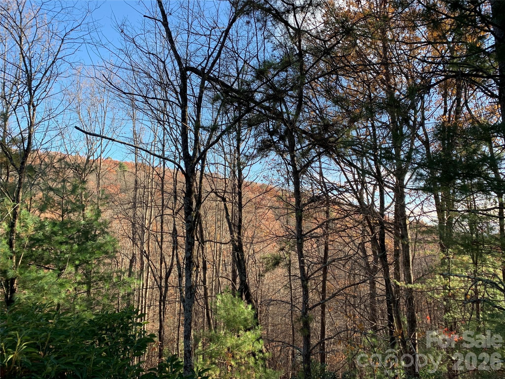 Lot at Lenoir, photo 5 of 18