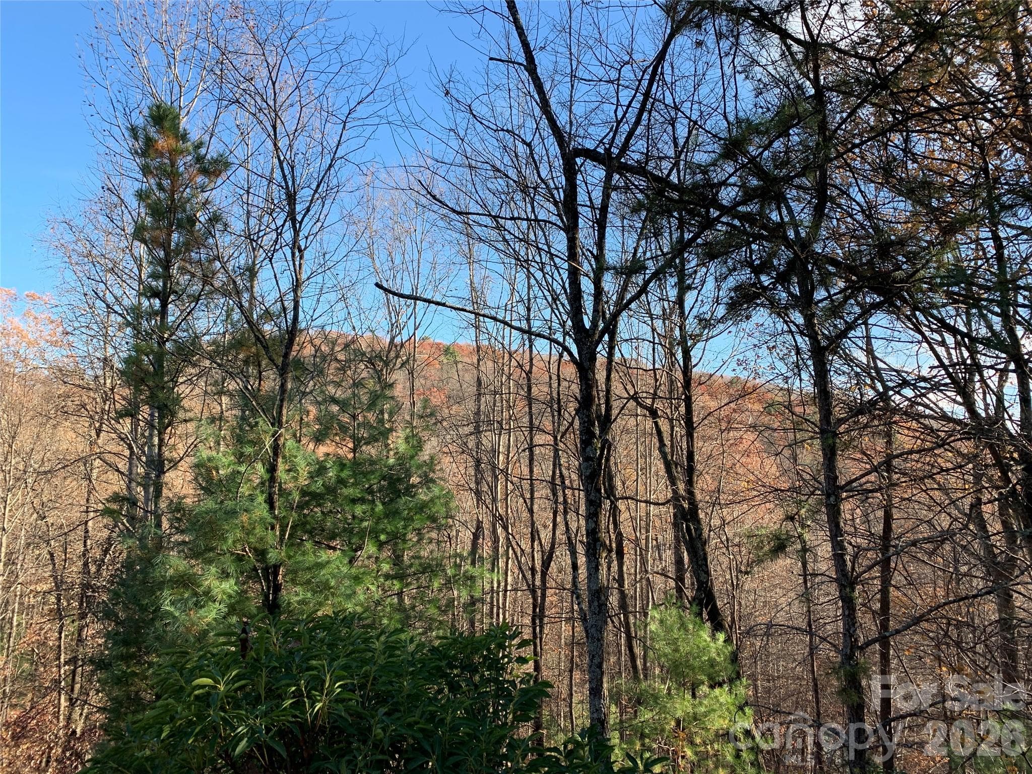 Lot at Lenoir, photo 6 of 18