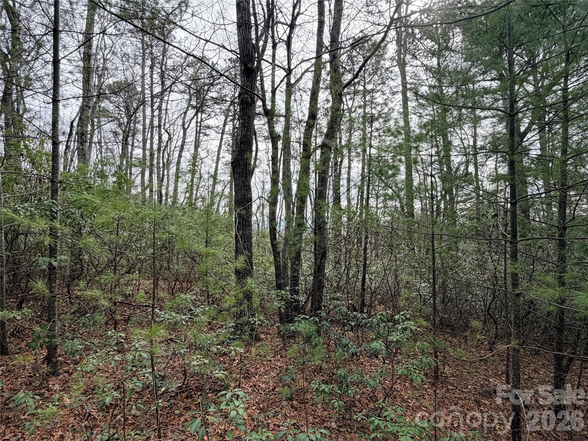 Lot at Lenoir, photo 7 of 18