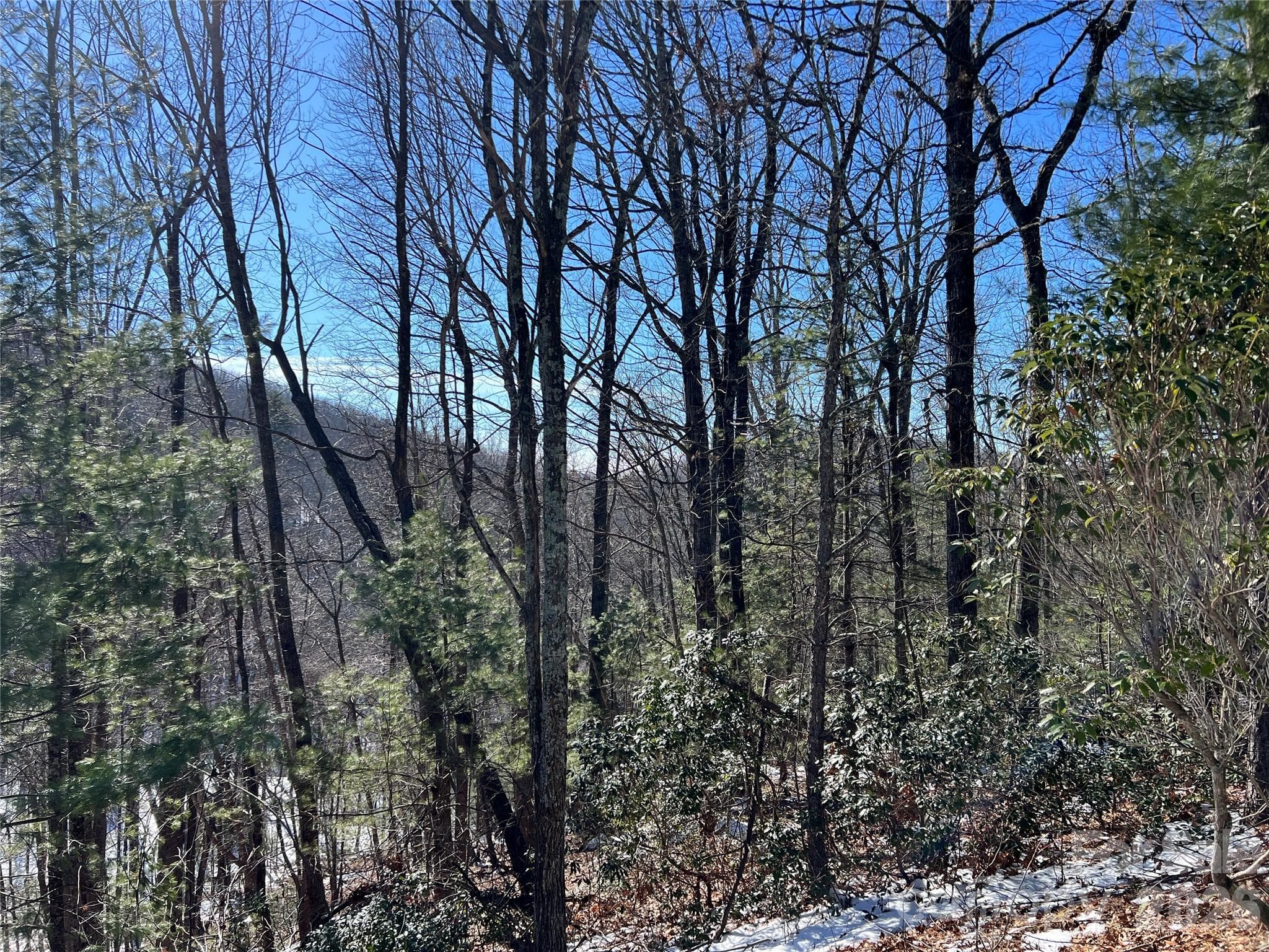 Lot at Lenoir, photo 12 of 18
