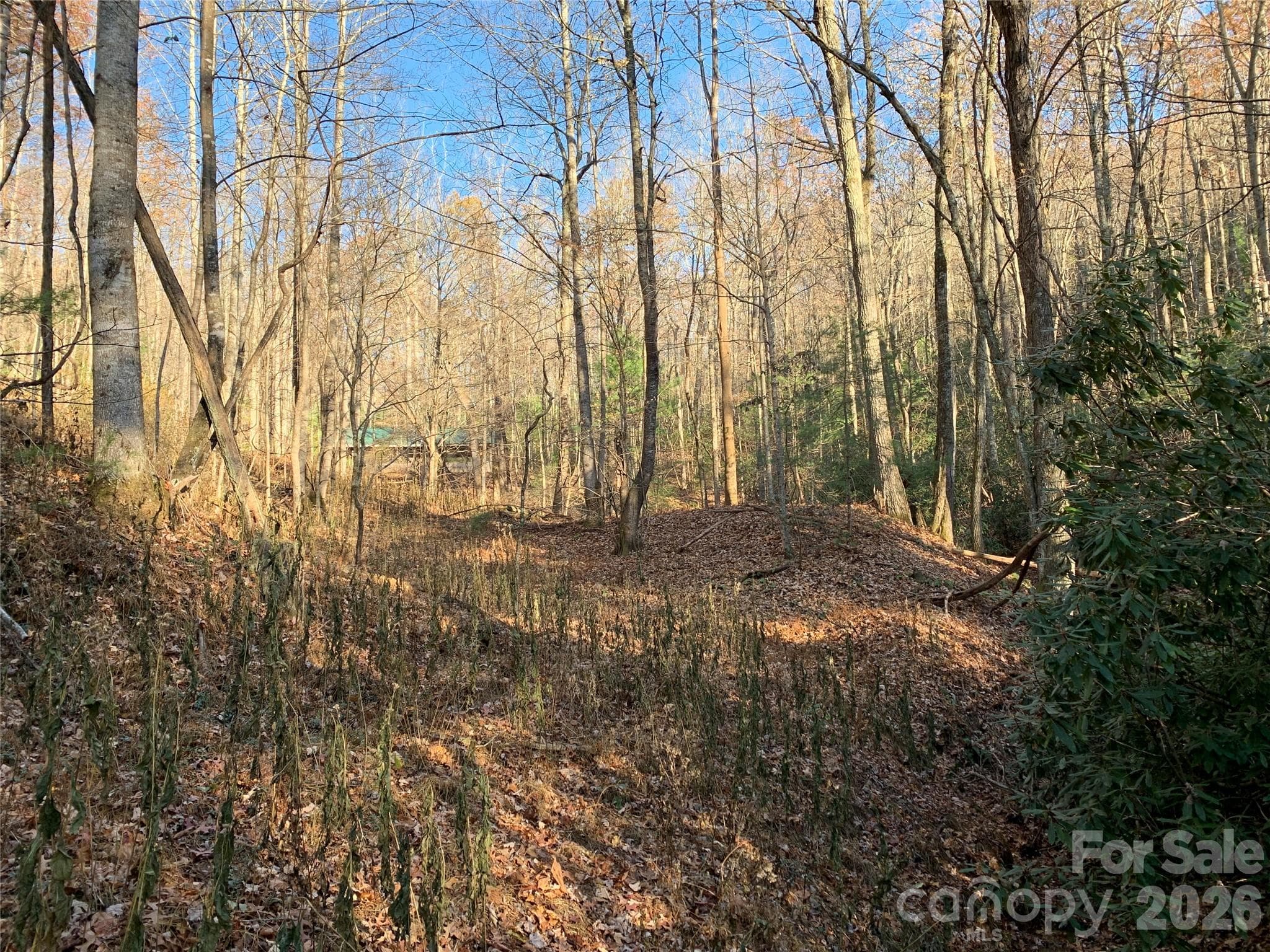 Bottom of Property - Lenoir