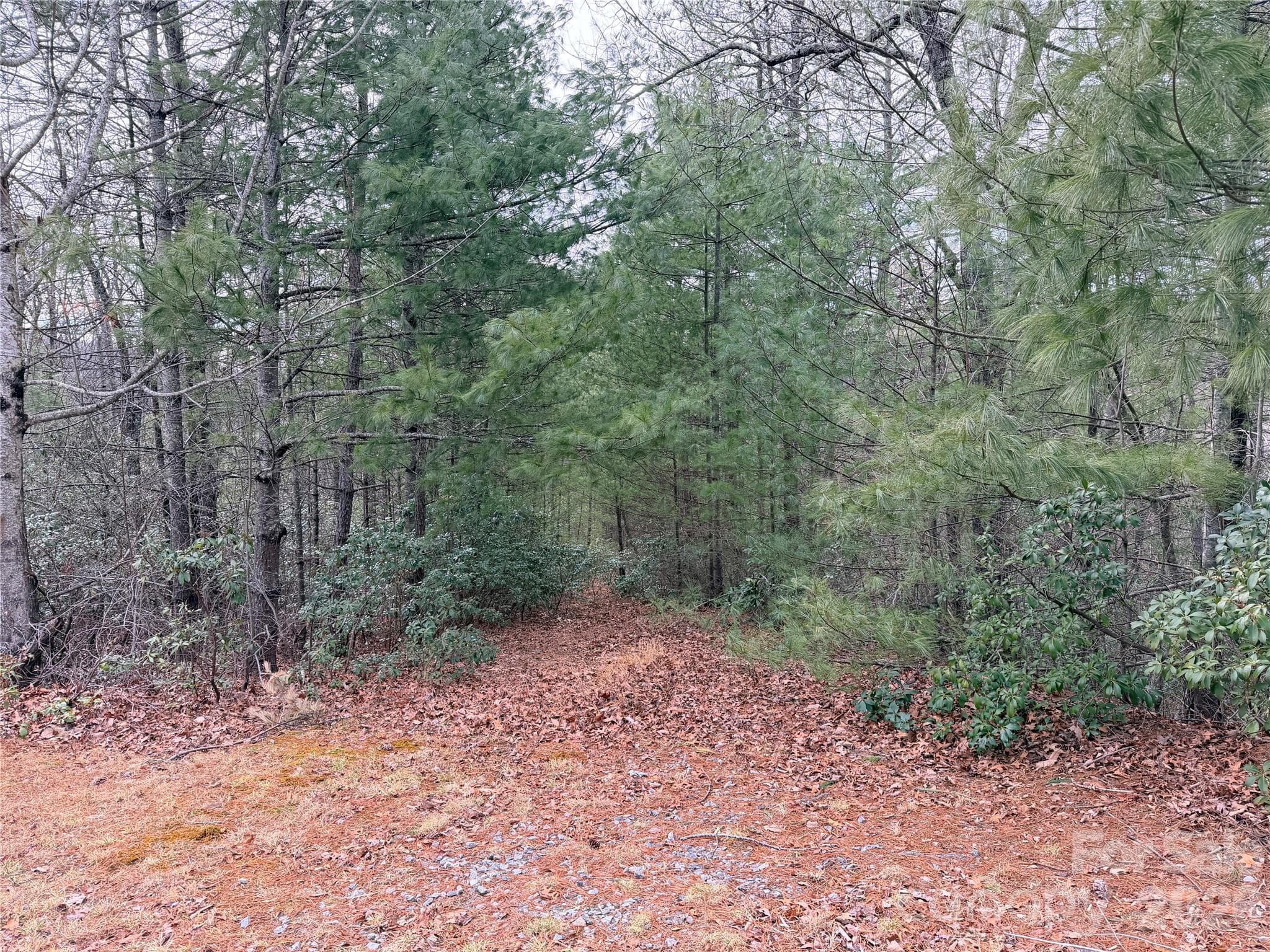 Access to Property - Lenoir