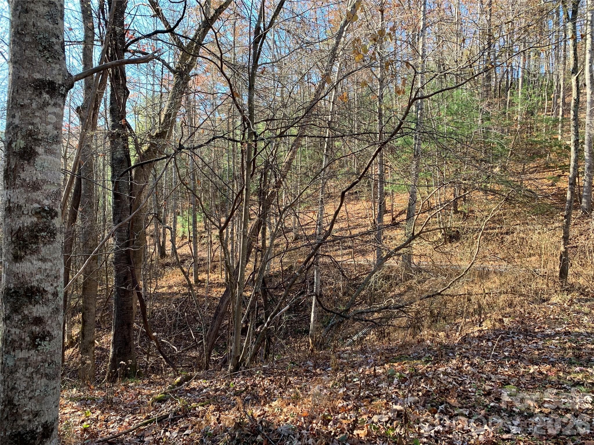Lot at Lenoir, photo 10 of 15
