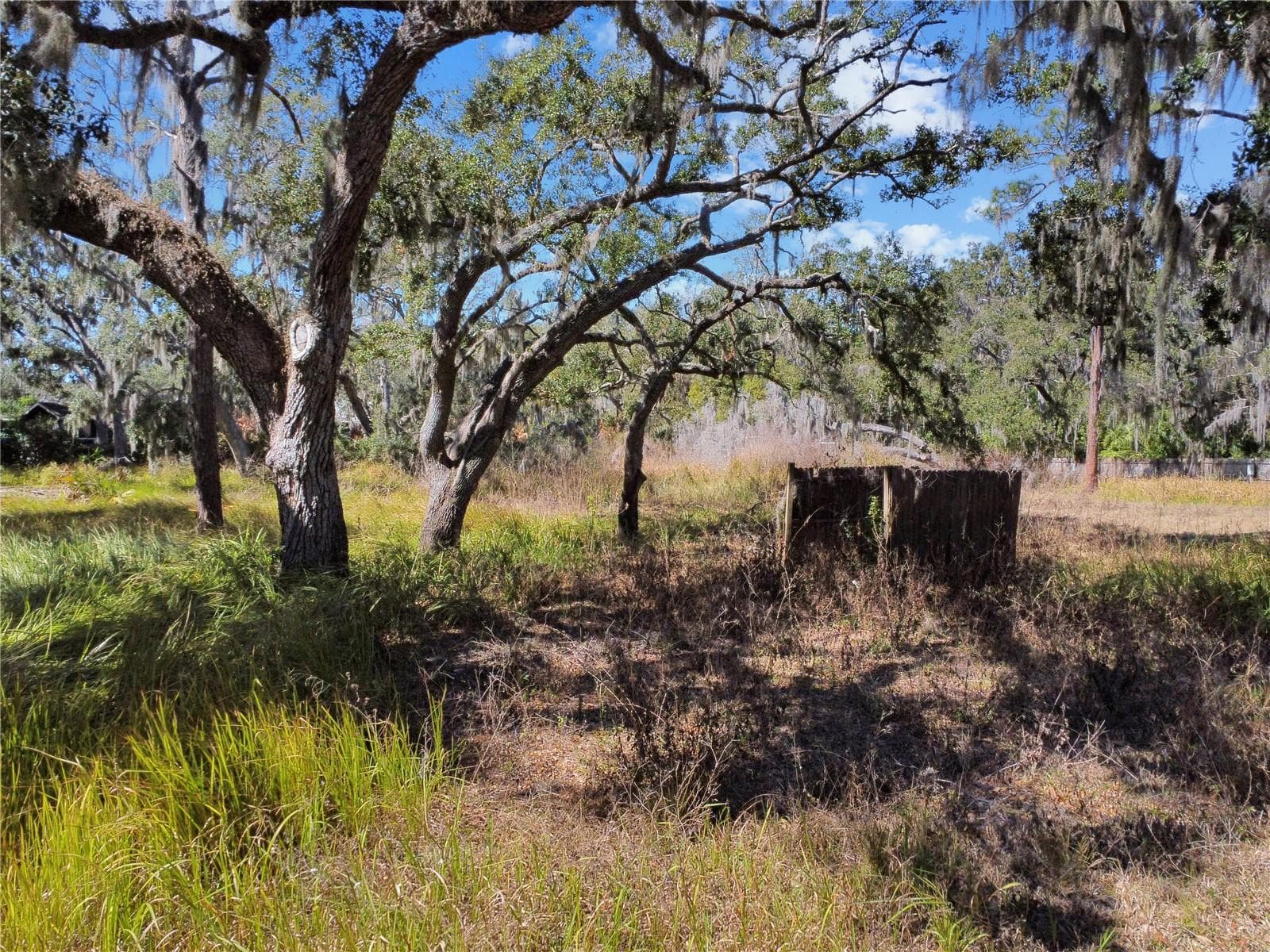 Land at 12111 FRED DR, RIVERVIEW, photo 8 of 27