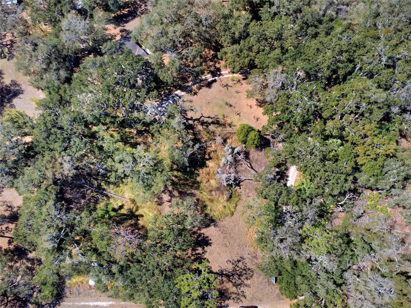 Land at 12111 FRED DR, RIVERVIEW, photo 13 of 27