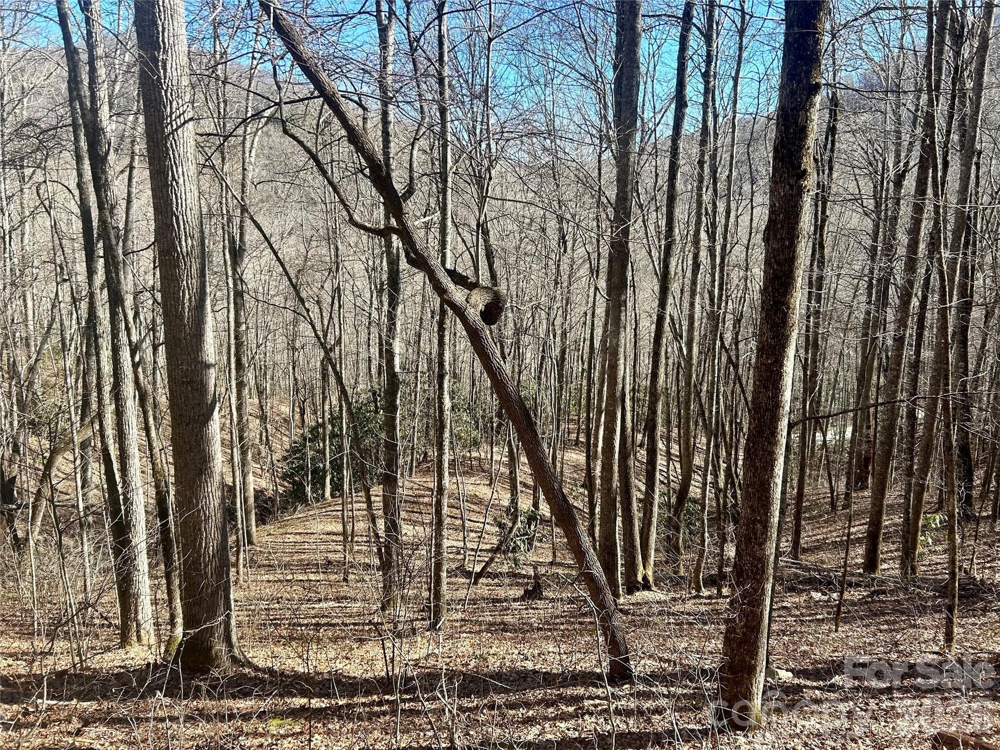 Lot at 0 Deep Gap View, Whittier, photo 3 of 13