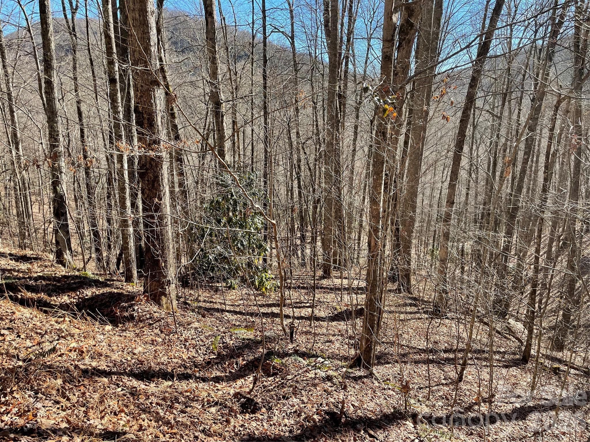 Lot at 0 Deep Gap View, Whittier, photo 4 of 13
