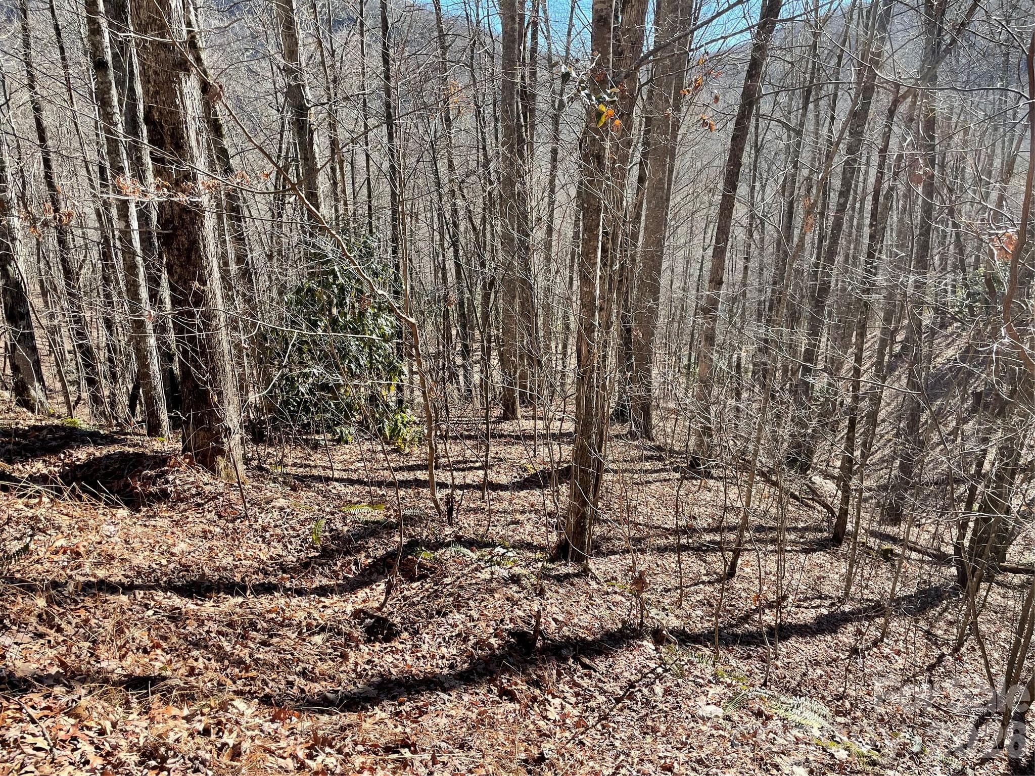 Lot at 0 Deep Gap View, Whittier, photo 5 of 13