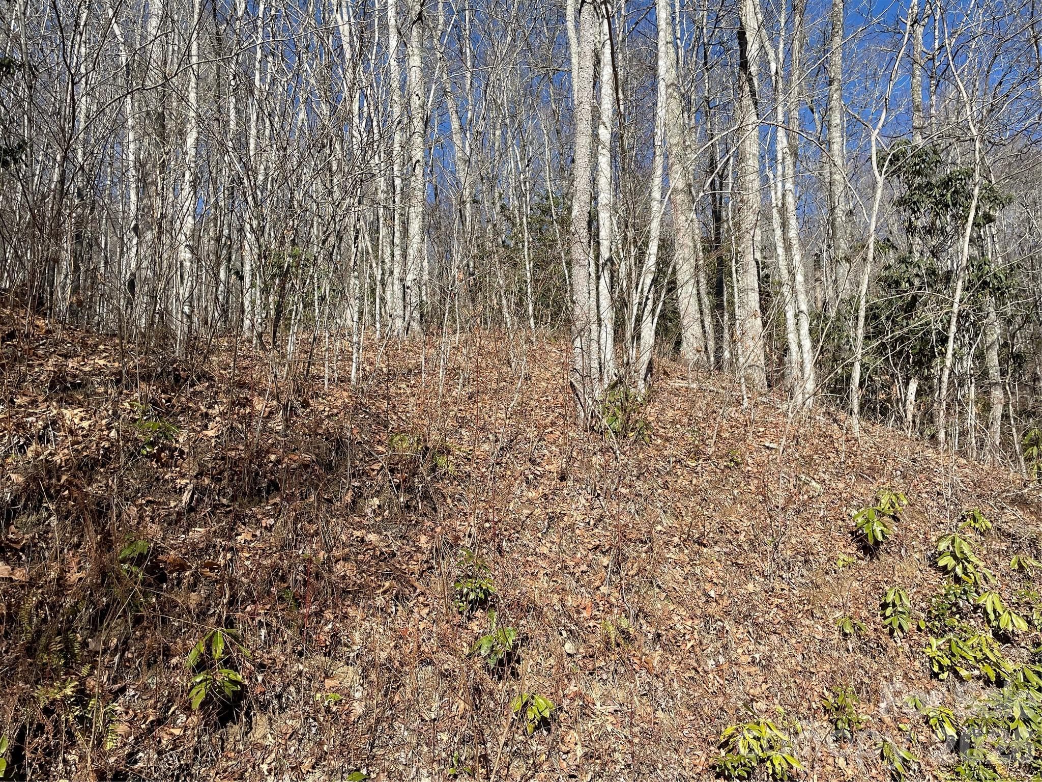 Lot at 0 Deep Gap View, Whittier, photo 6 of 13