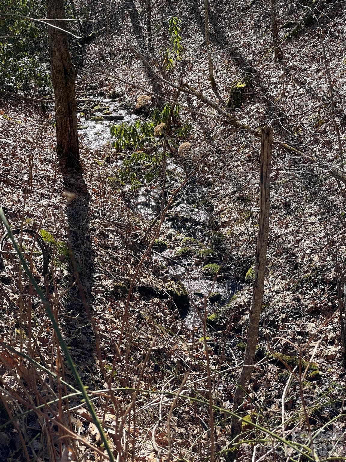 Lot at 0 Deep Gap View, Whittier, photo 7 of 13