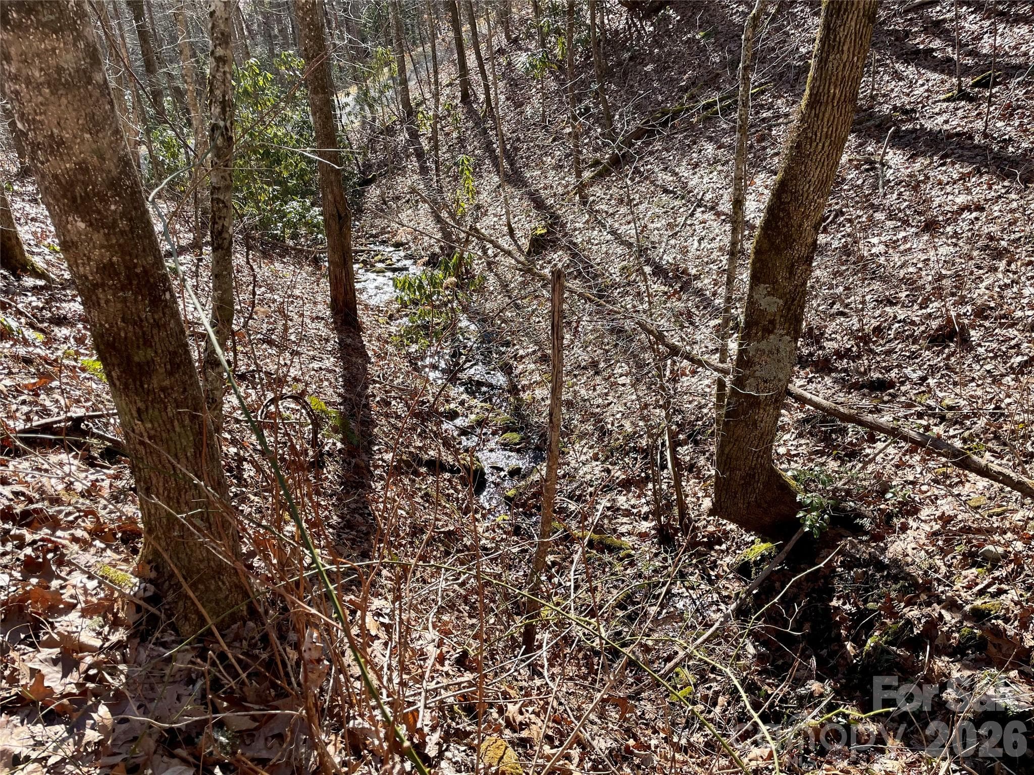 Lot at 0 Deep Gap View, Whittier, photo 8 of 13