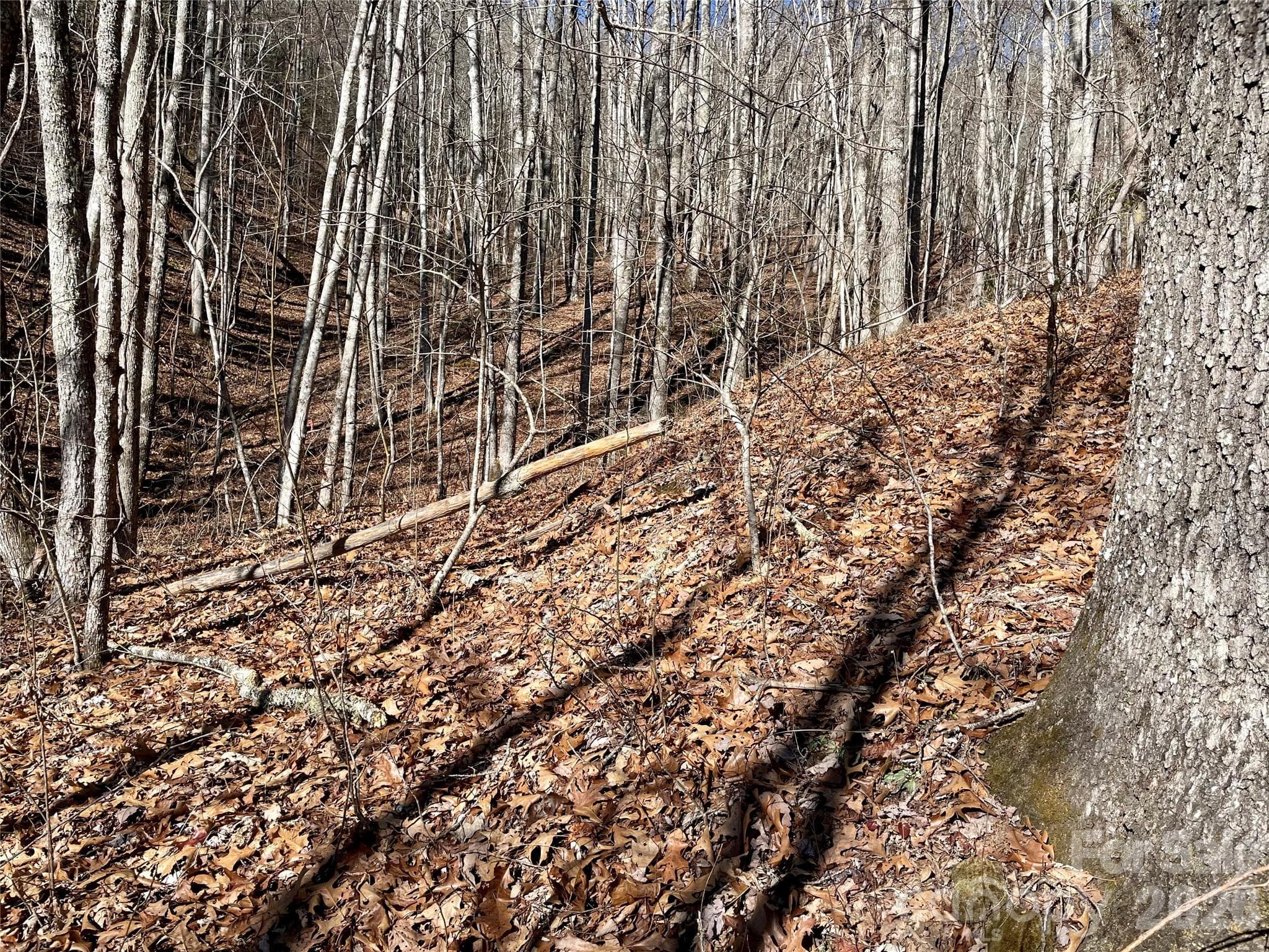 Lot at 0 Deep Gap View, Whittier, photo 9 of 13