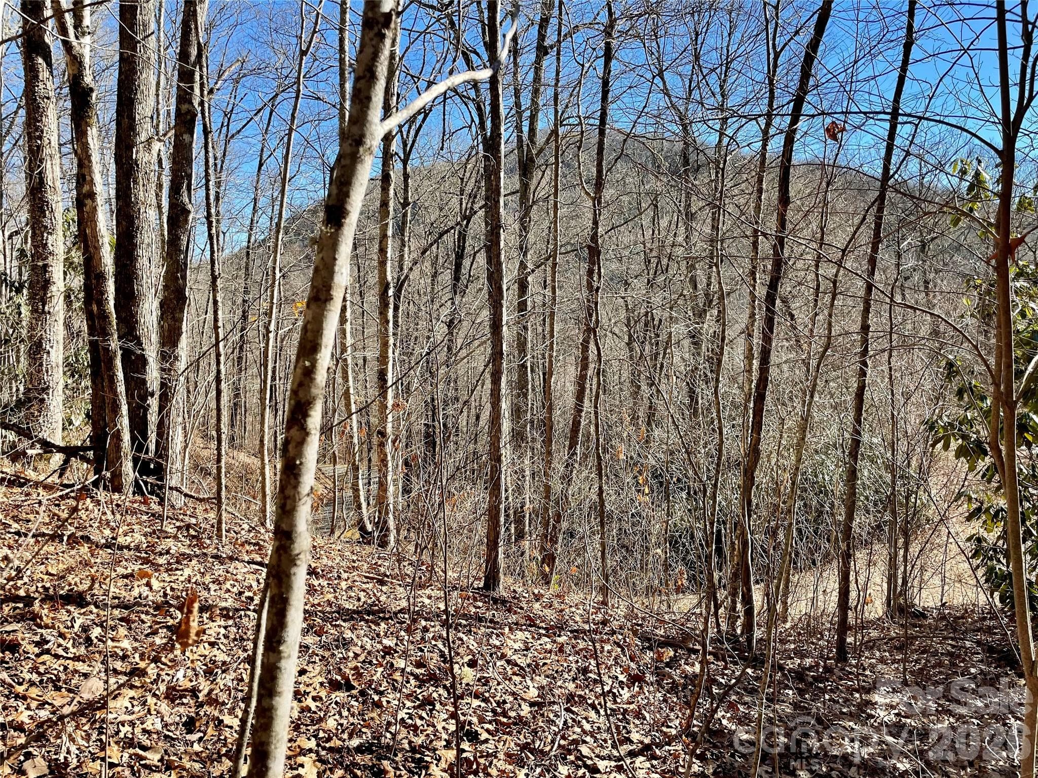Lot at 0 Deep Gap View, Whittier, photo 10 of 13