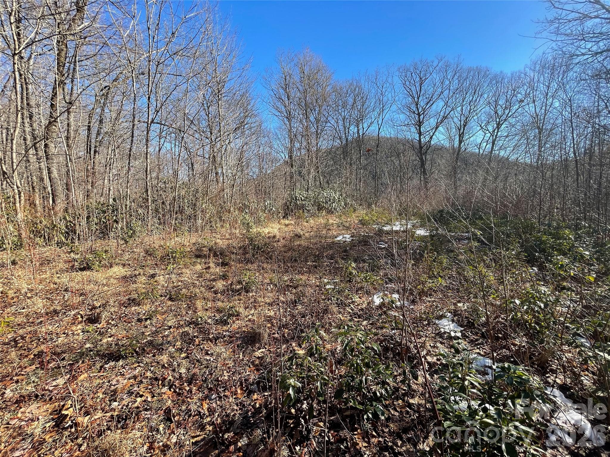 Lot at 0 Deep Gap View, Whittier, photo 12 of 13