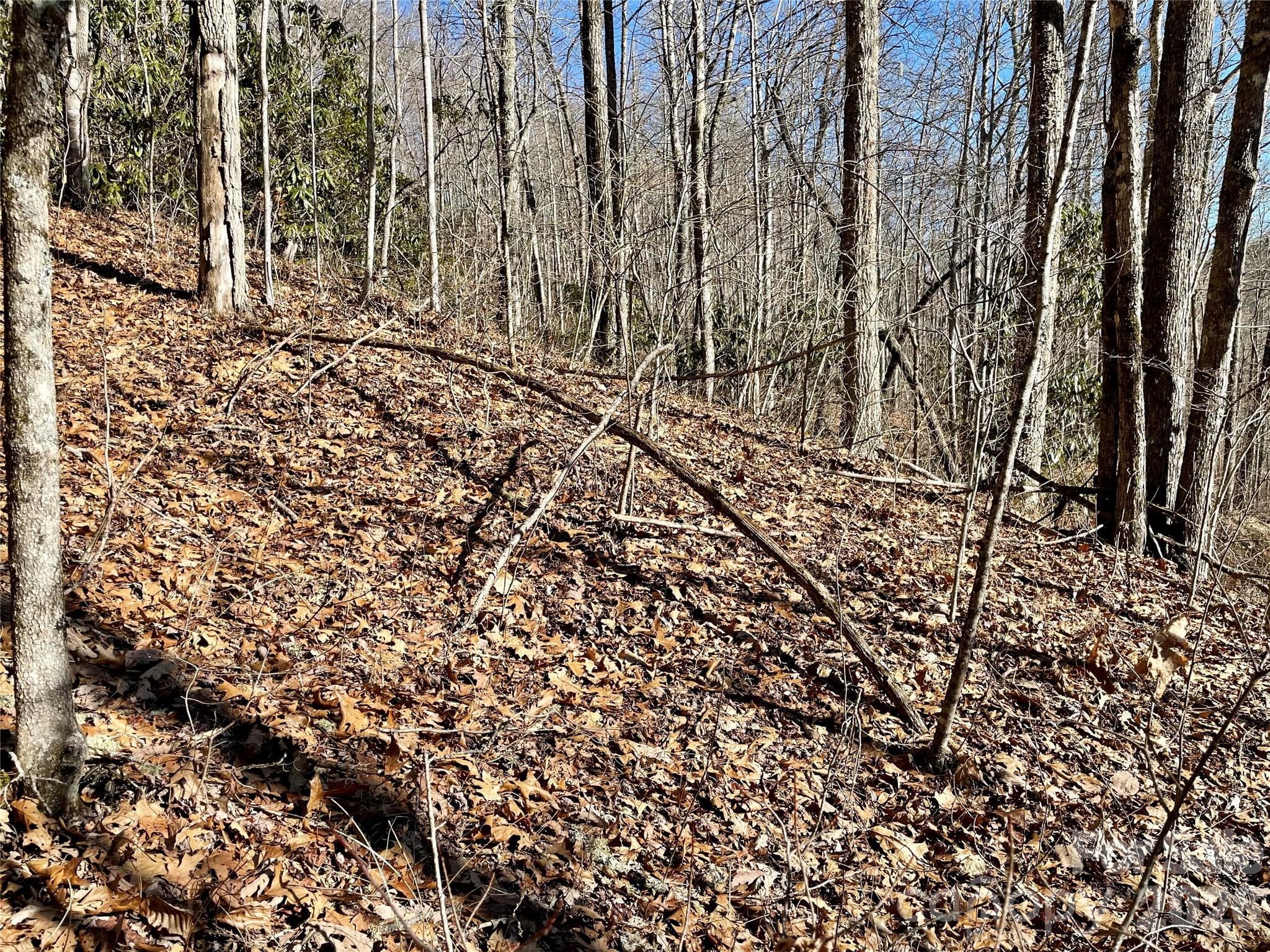 Lot at 0 Deep Gap View, Whittier, photo 13 of 13