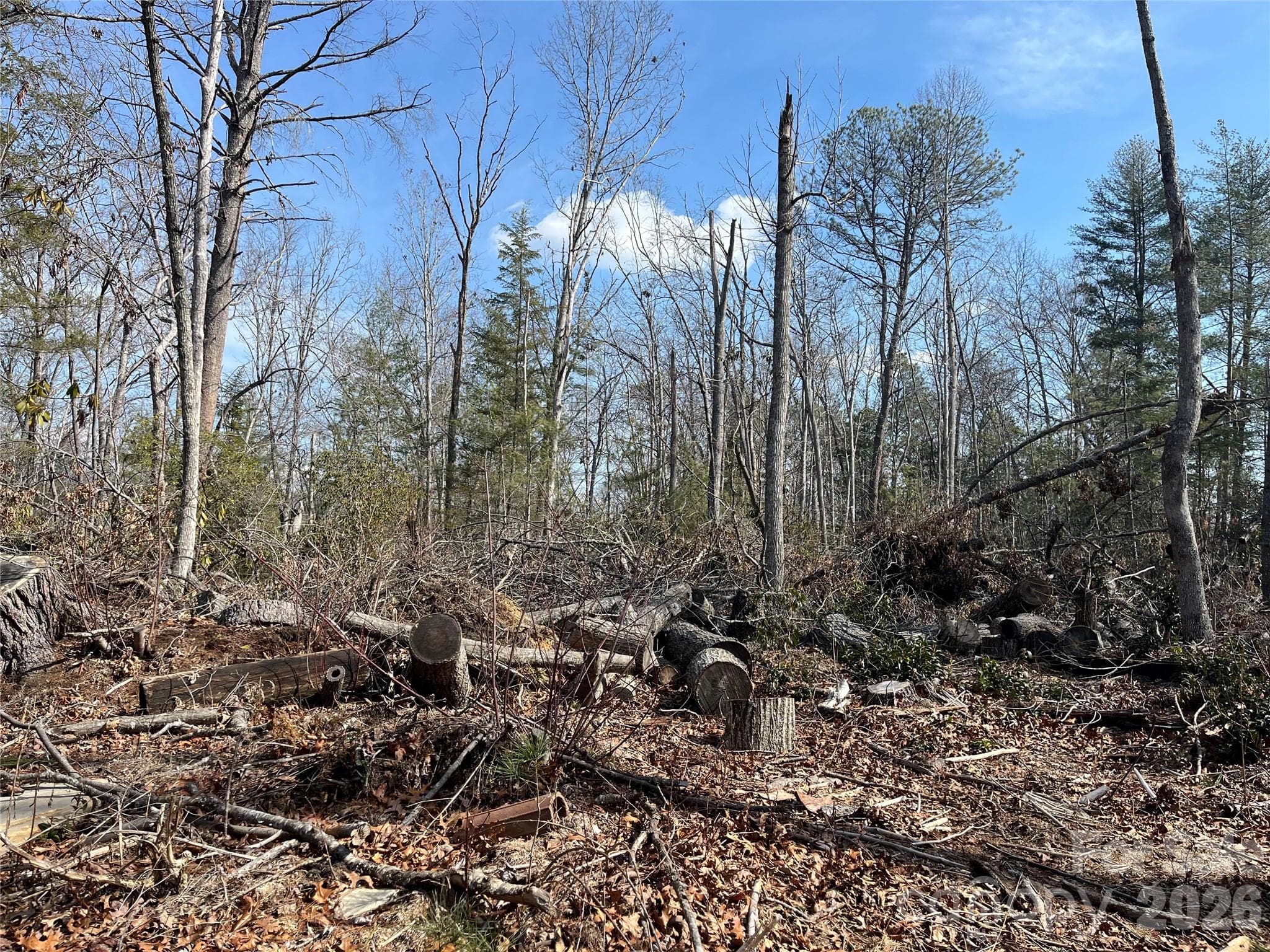 Acreage at 19 Laurel Loop Road, Fairview, photo 5 of 14
