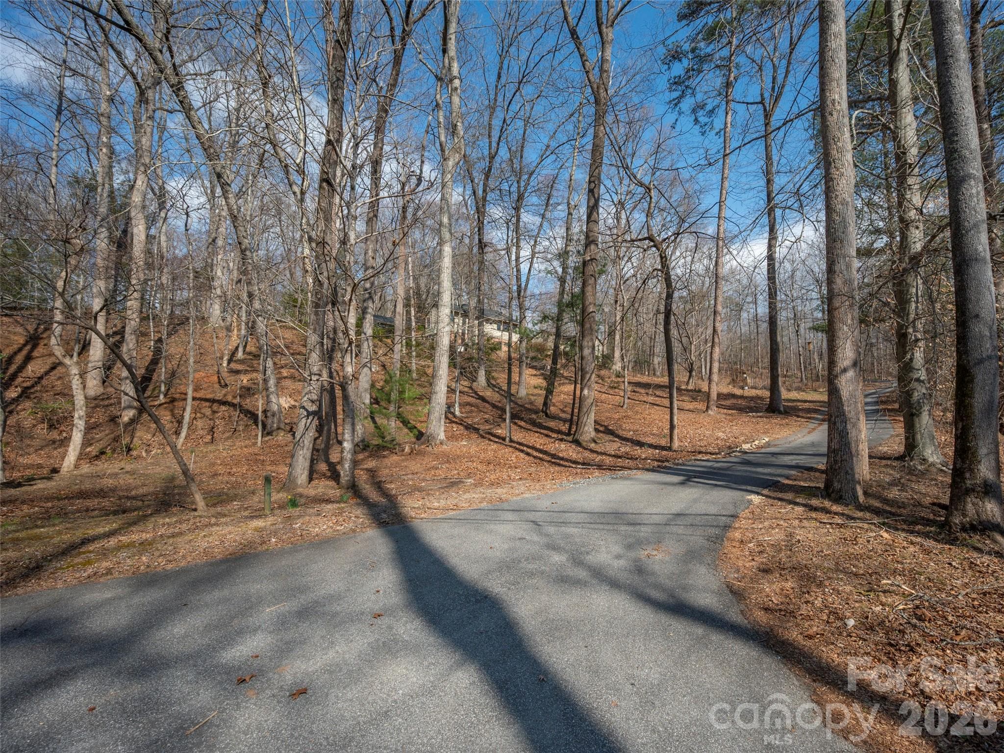 Paved road that turns to gravel off Warrior Rd to property - 0000 Judge Road, Tryon