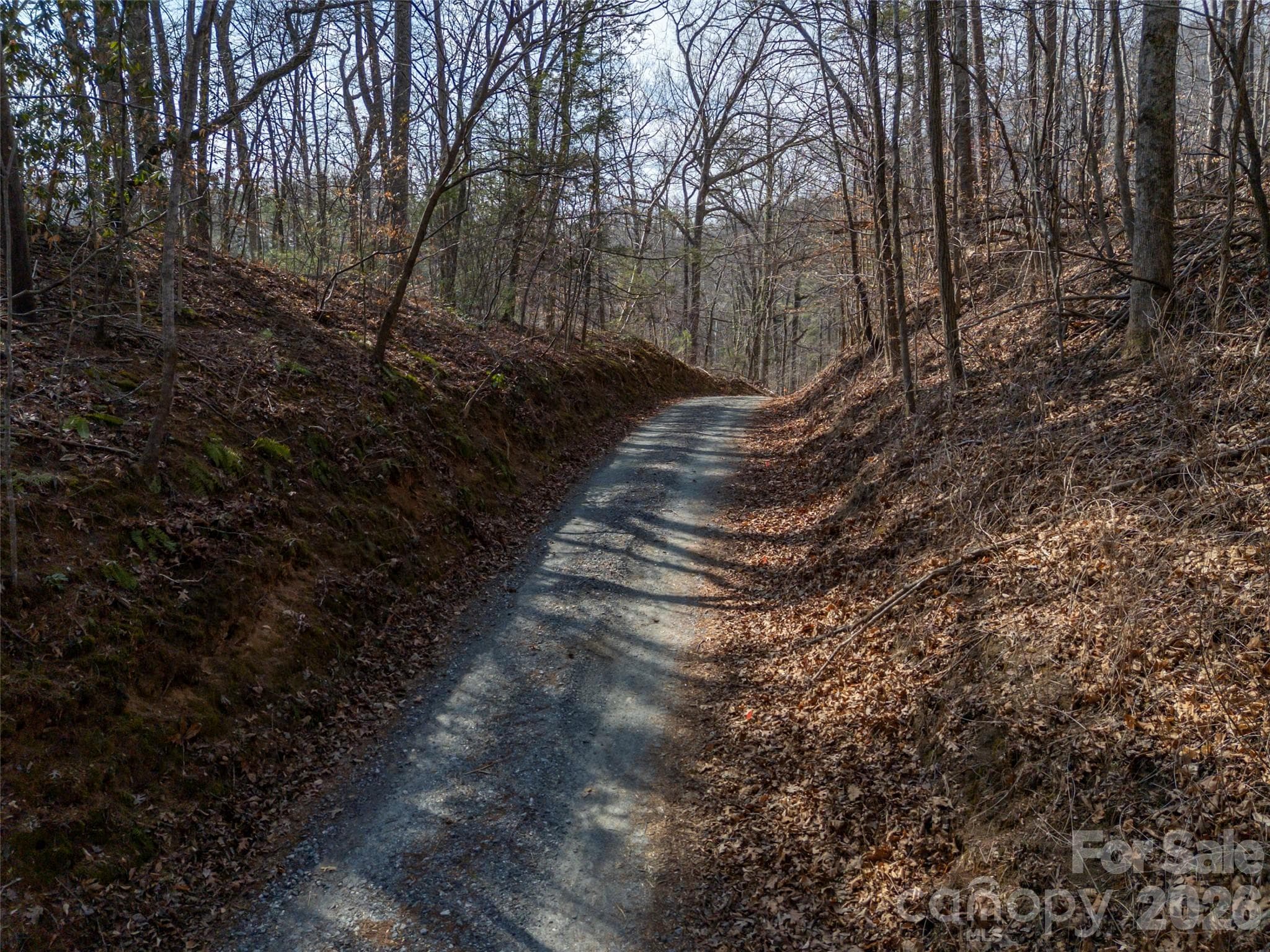 Lot at 0000 Judge Road, Tryon, photo 13 of 28