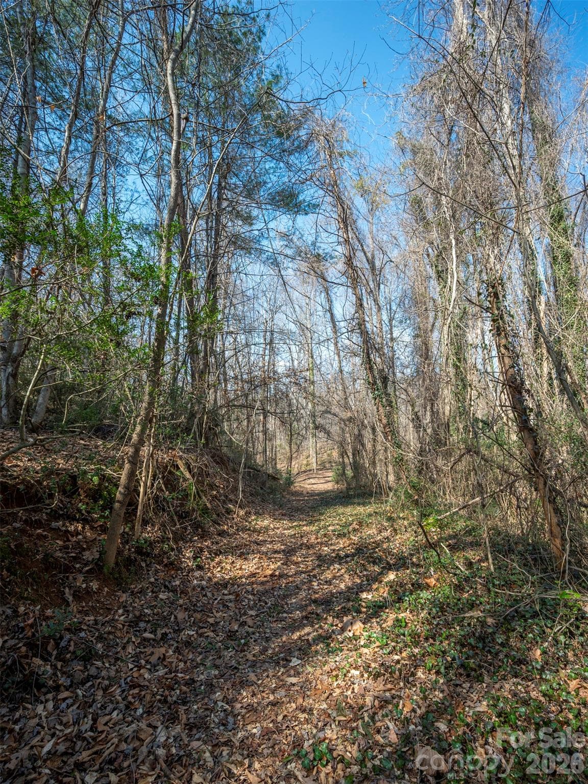 Roughed in rd next to pond - 0000 Judge Road, Tryon