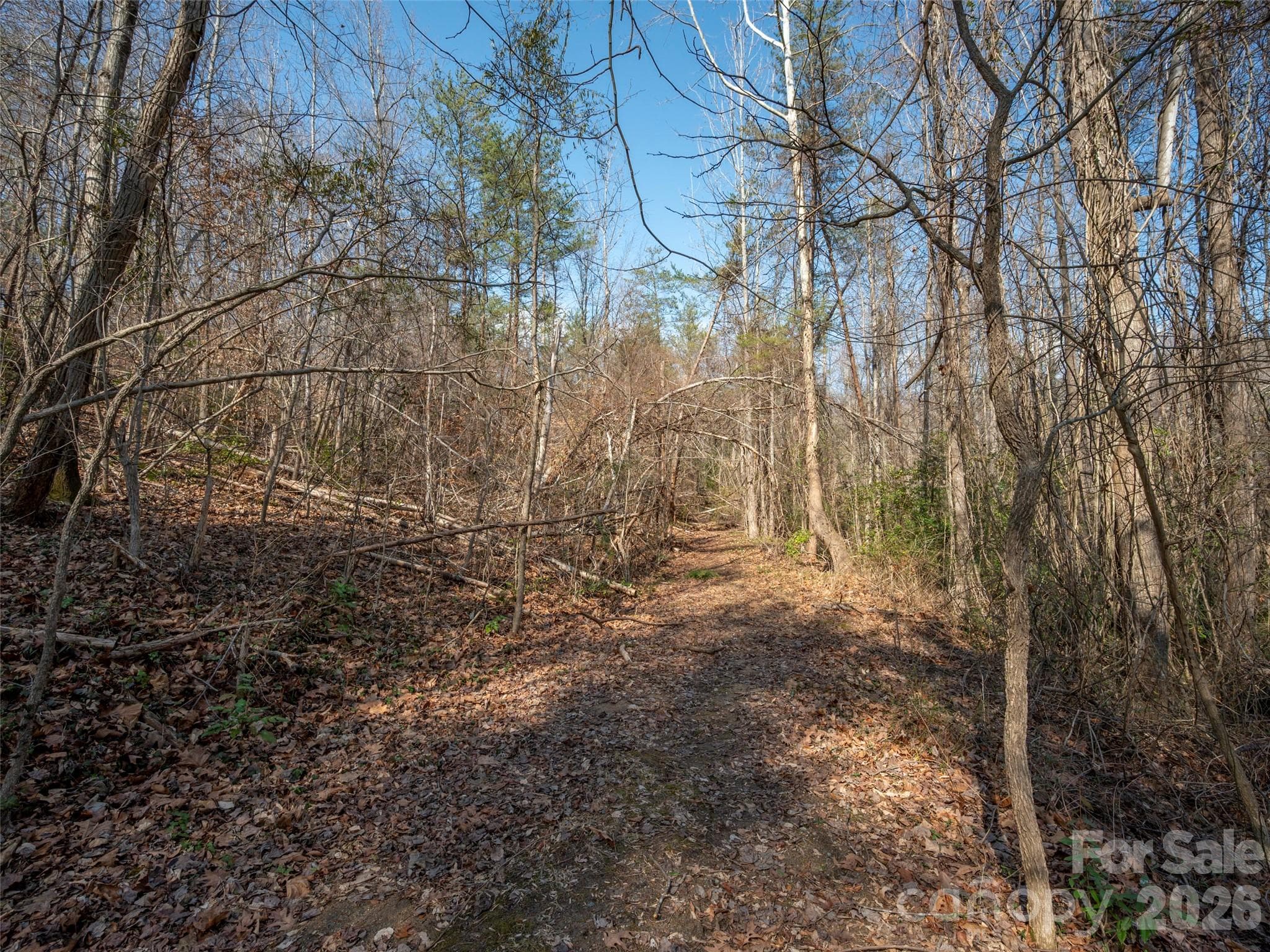 Roughed in rd next to pond - 0000 Judge Road, Tryon