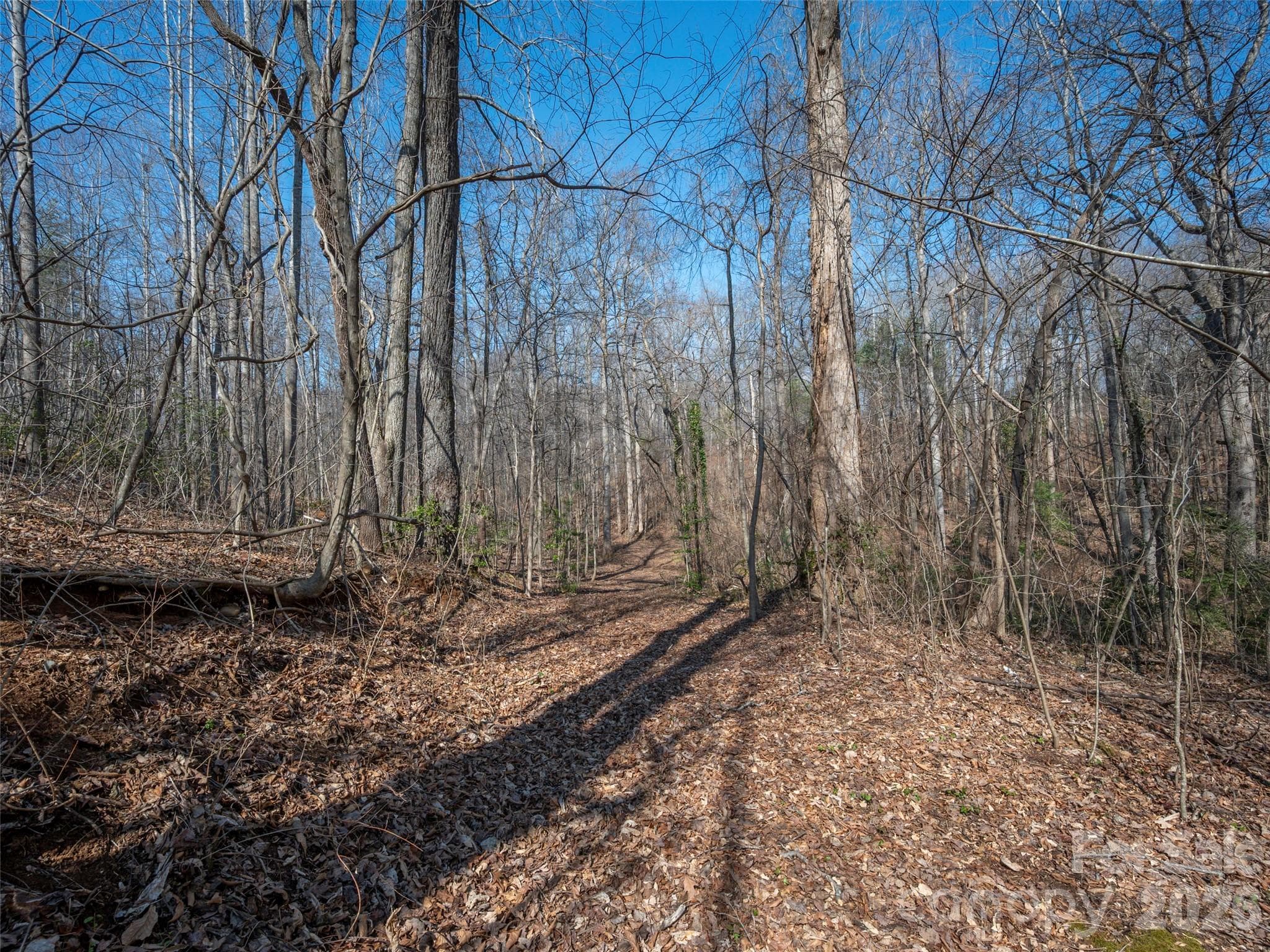Roughed in rd next to pond - 0000 Judge Road, Tryon