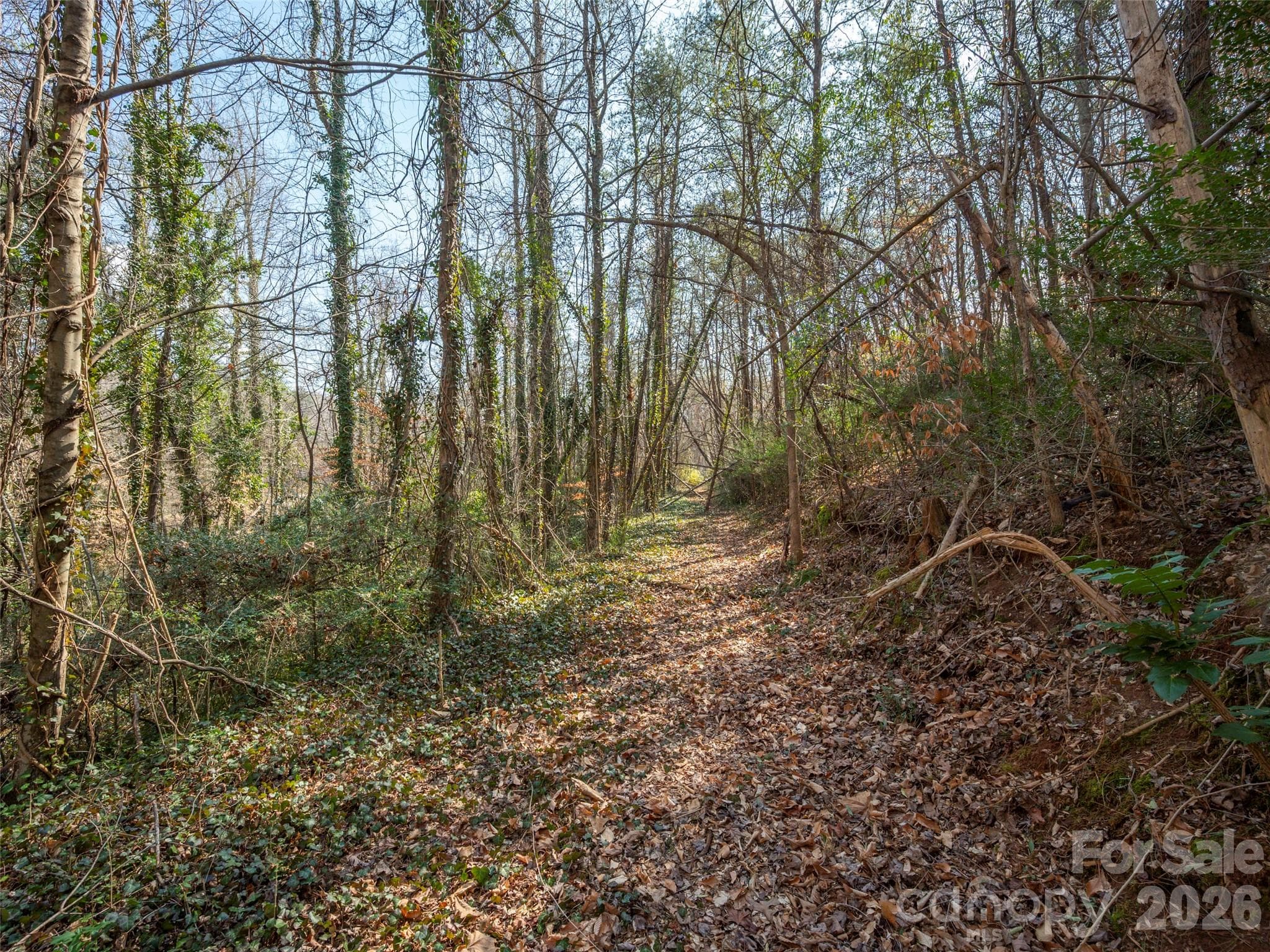 Lot at 0000 Judge Road, Tryon, photo 18 of 28