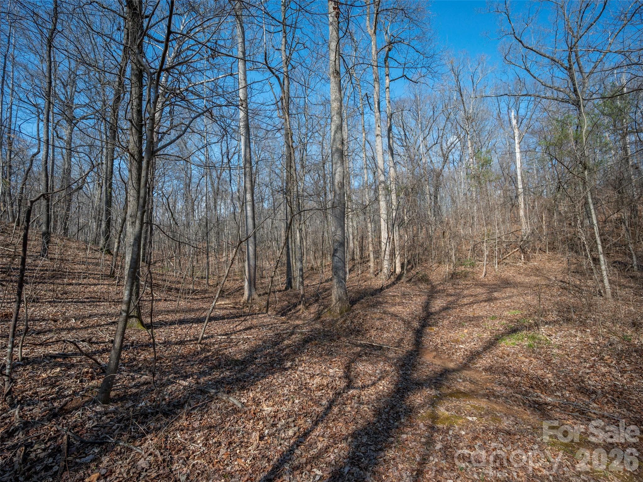 Roughed in road is on part of 17 acre tract. Opens up to more level, partially cleared areas that would be great building sites - 0000 Judge Road, Tryon