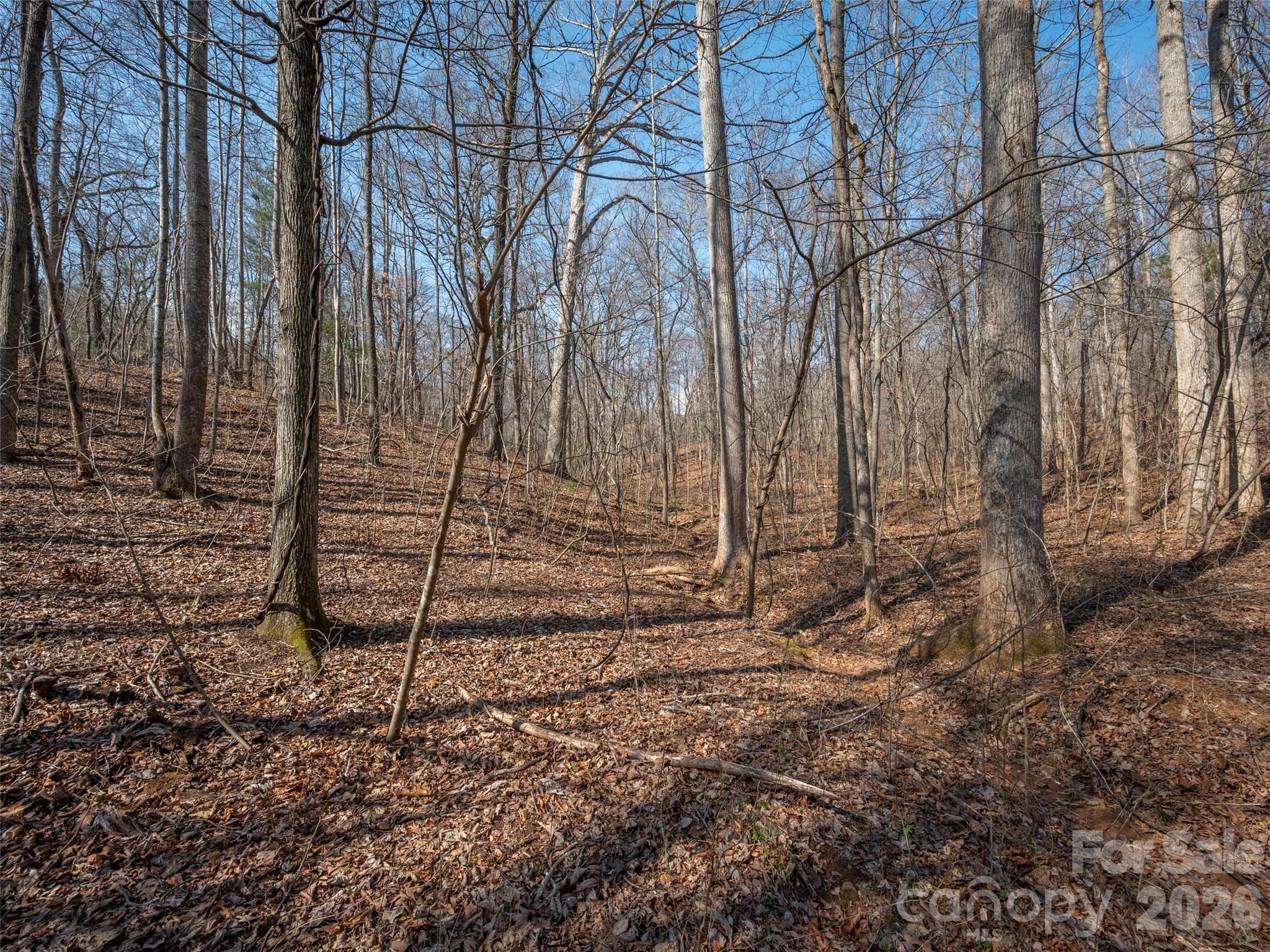 Partially cleared, relatively level areas that would be great building sites on the 17.03 acre tract - 0000 Judge Road, Tryon