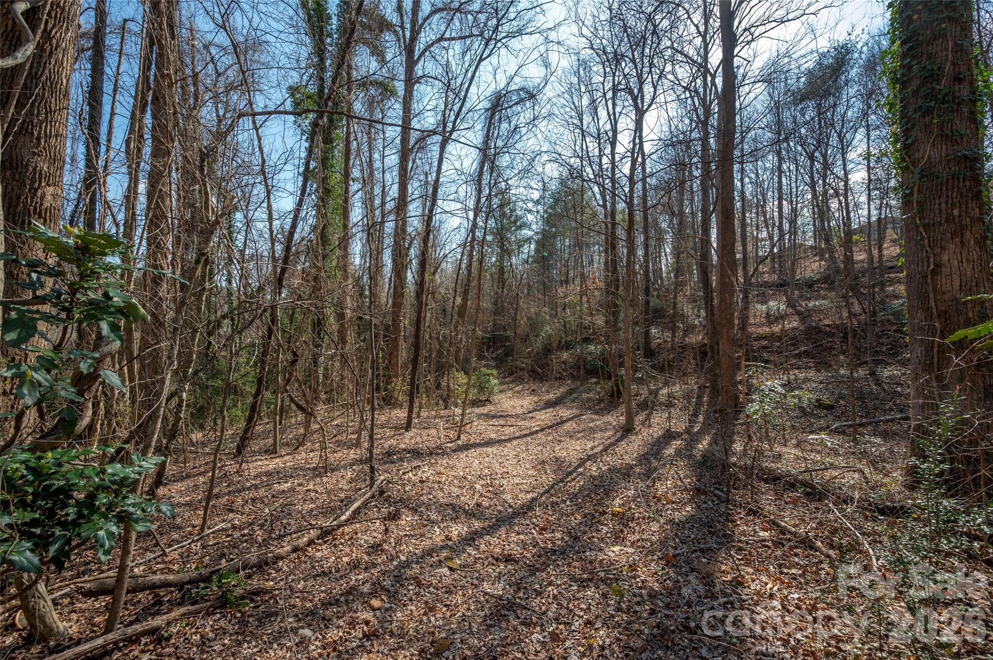 Lot at 0000 Judge Road, Tryon, photo 23 of 28