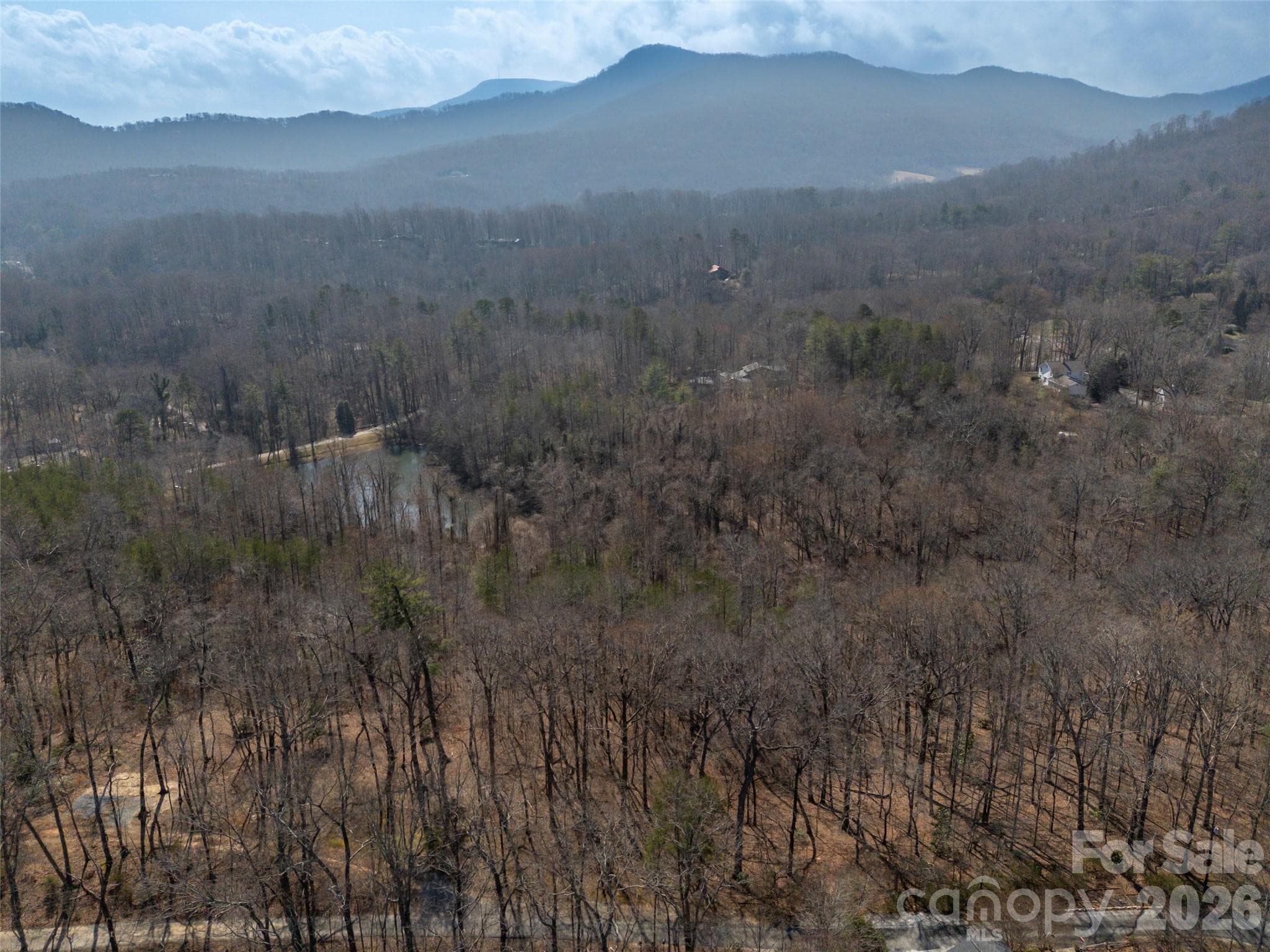 View from Judge Rd looking towards the pond - 0000 Judge Road, Tryon