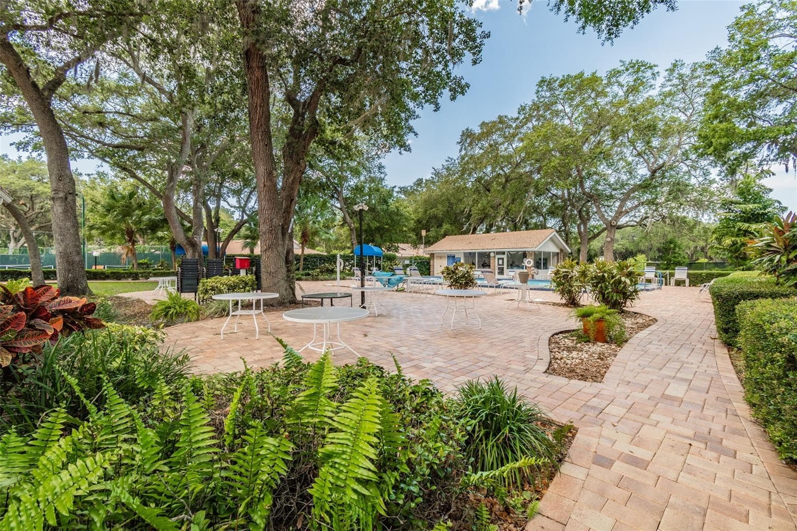 Pathway to the pool that offers lap lanes. Fitness center in the building in the background. - 5611 GARDEN LAKES DR, BRADENTON