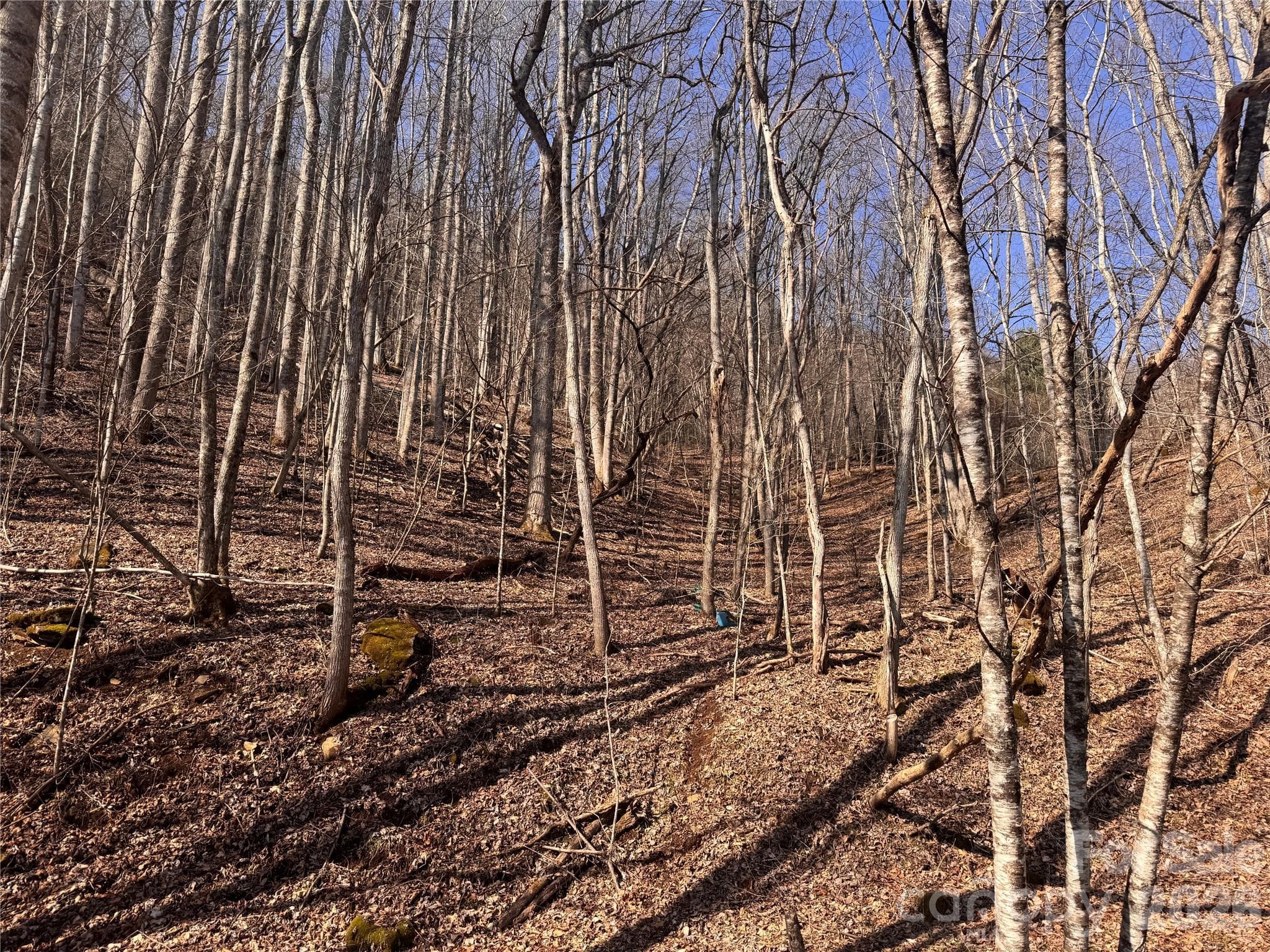 Acreage at 00 S US 19 Highway E, Newland, photo 3 of 22