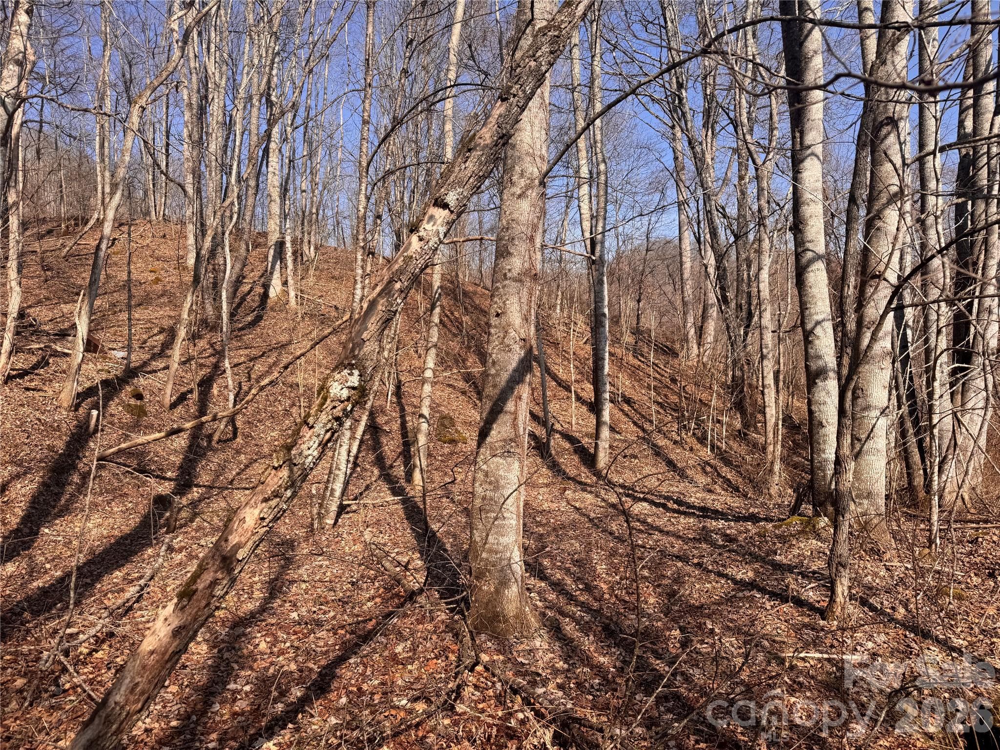 Acreage at 00 S US 19 Highway E, Newland, photo 4 of 22