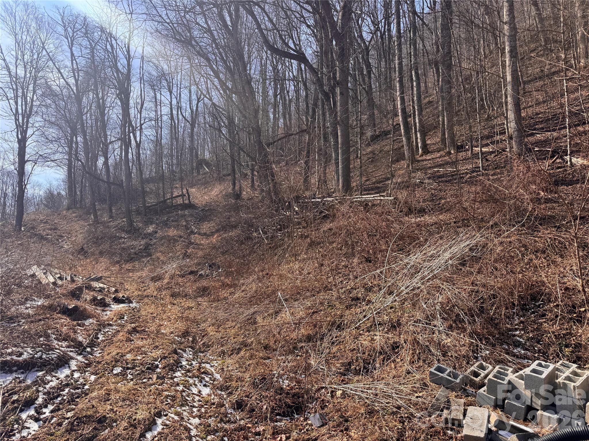Acreage at 00 S US 19 Highway E, Newland, photo 8 of 22