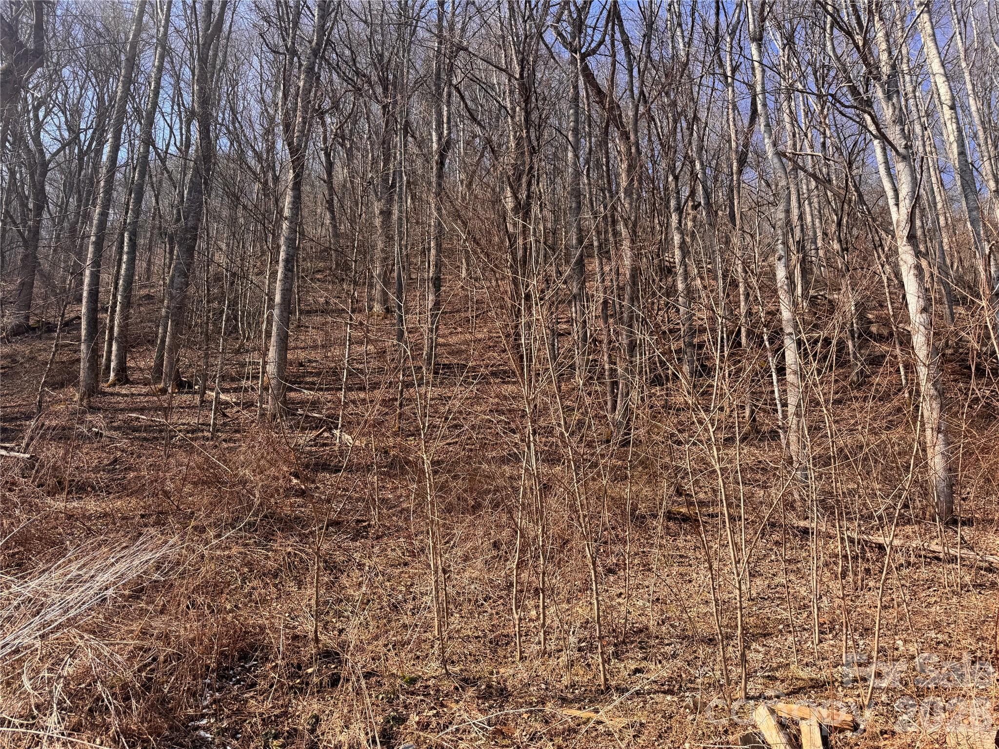 Acreage at 00 S US 19 Highway E, Newland, photo 9 of 22