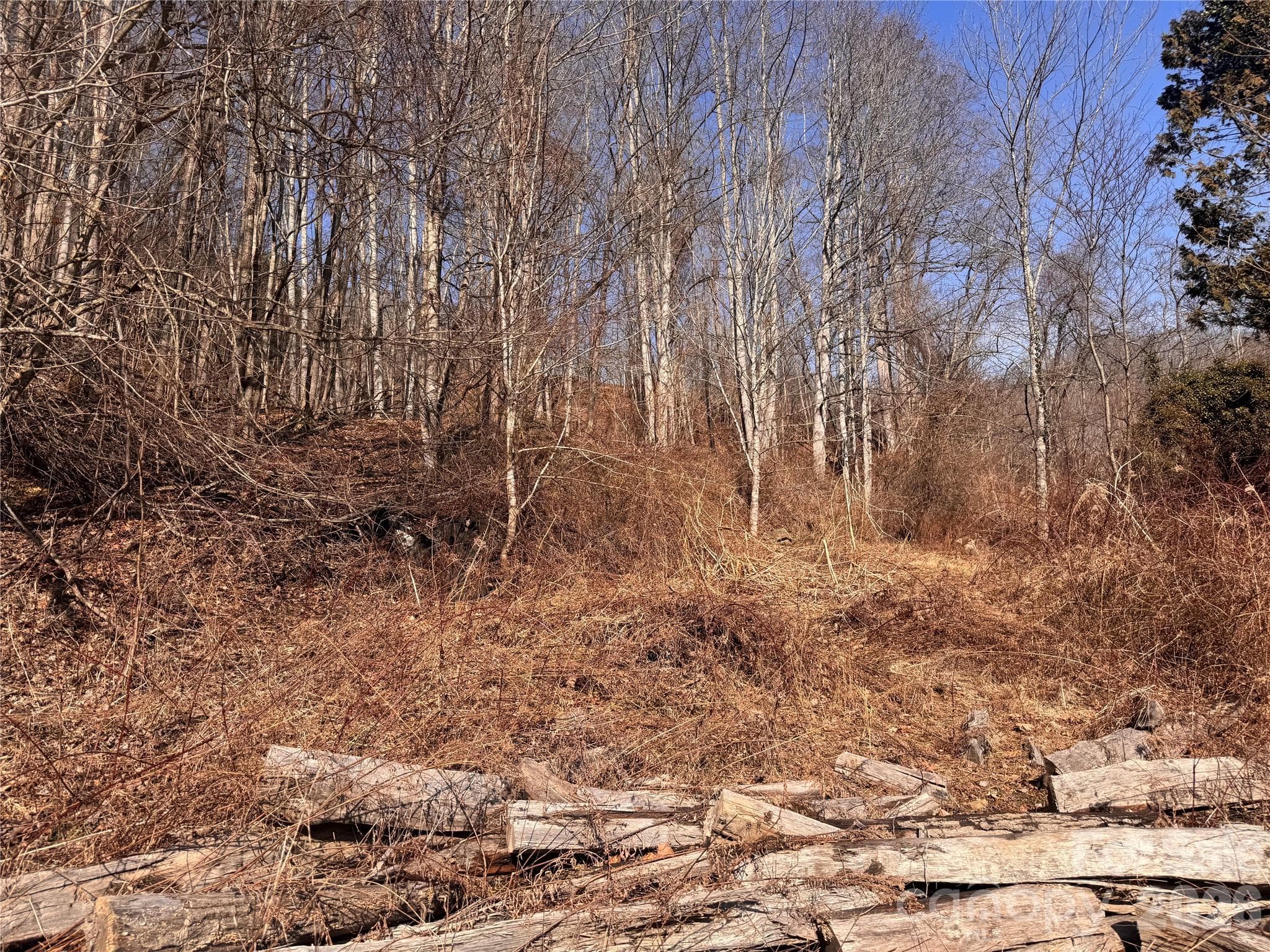 Acreage at 00 S US 19 Highway E, Newland, photo 10 of 22