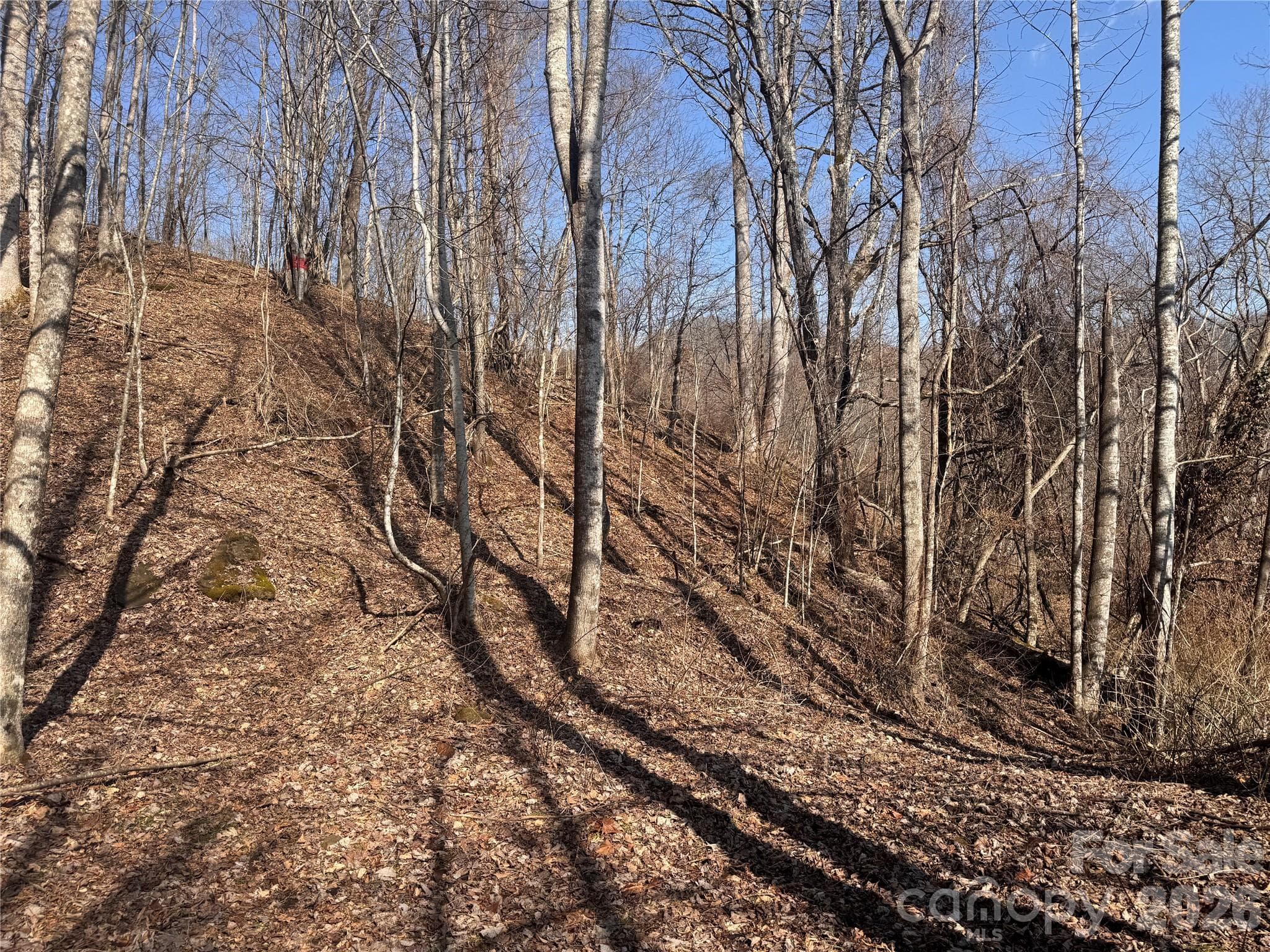 Acreage at 00 S US 19 Highway E, Newland, photo 11 of 22