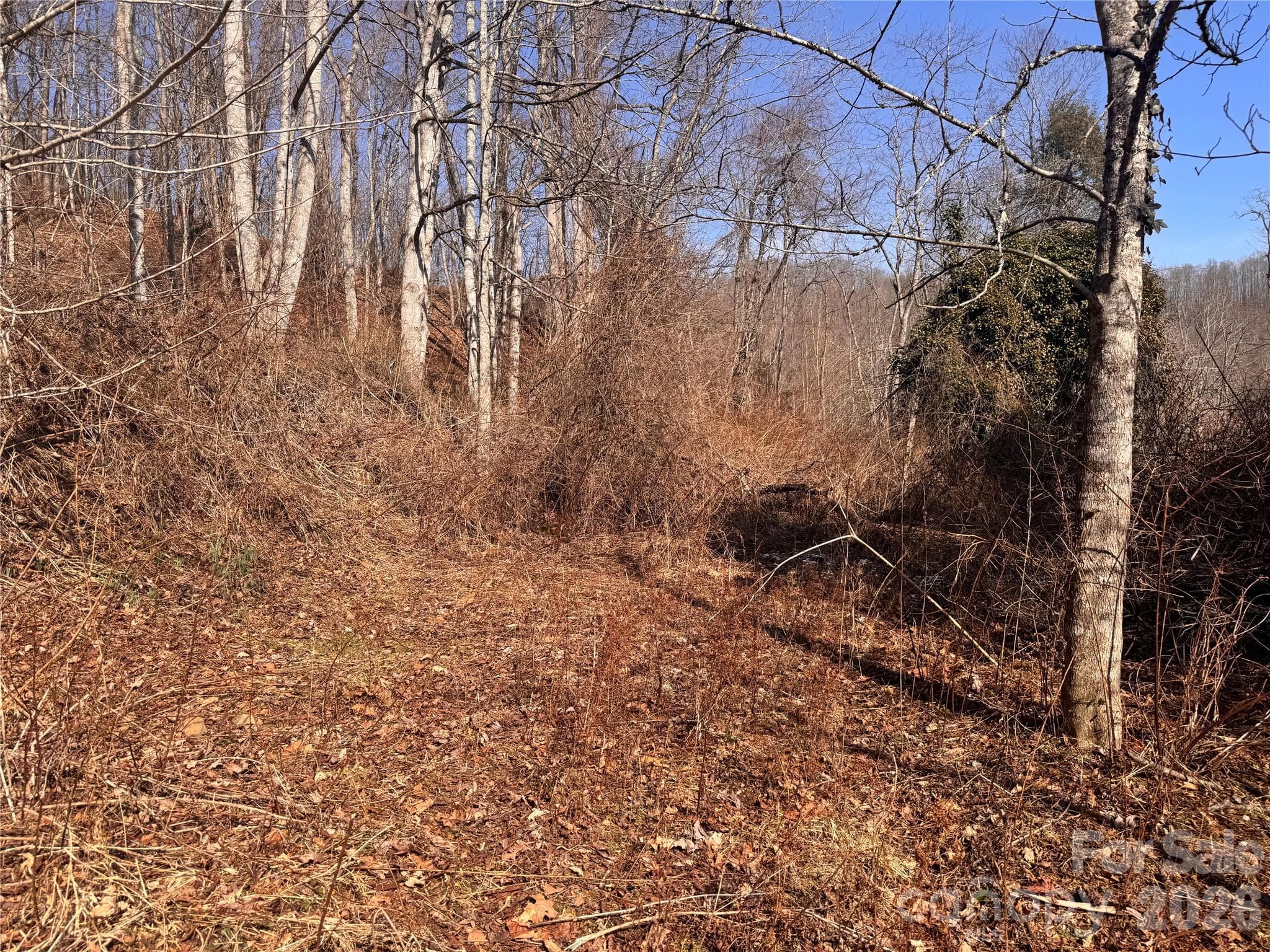 Acreage at 00 S US 19 Highway E, Newland, photo 12 of 22
