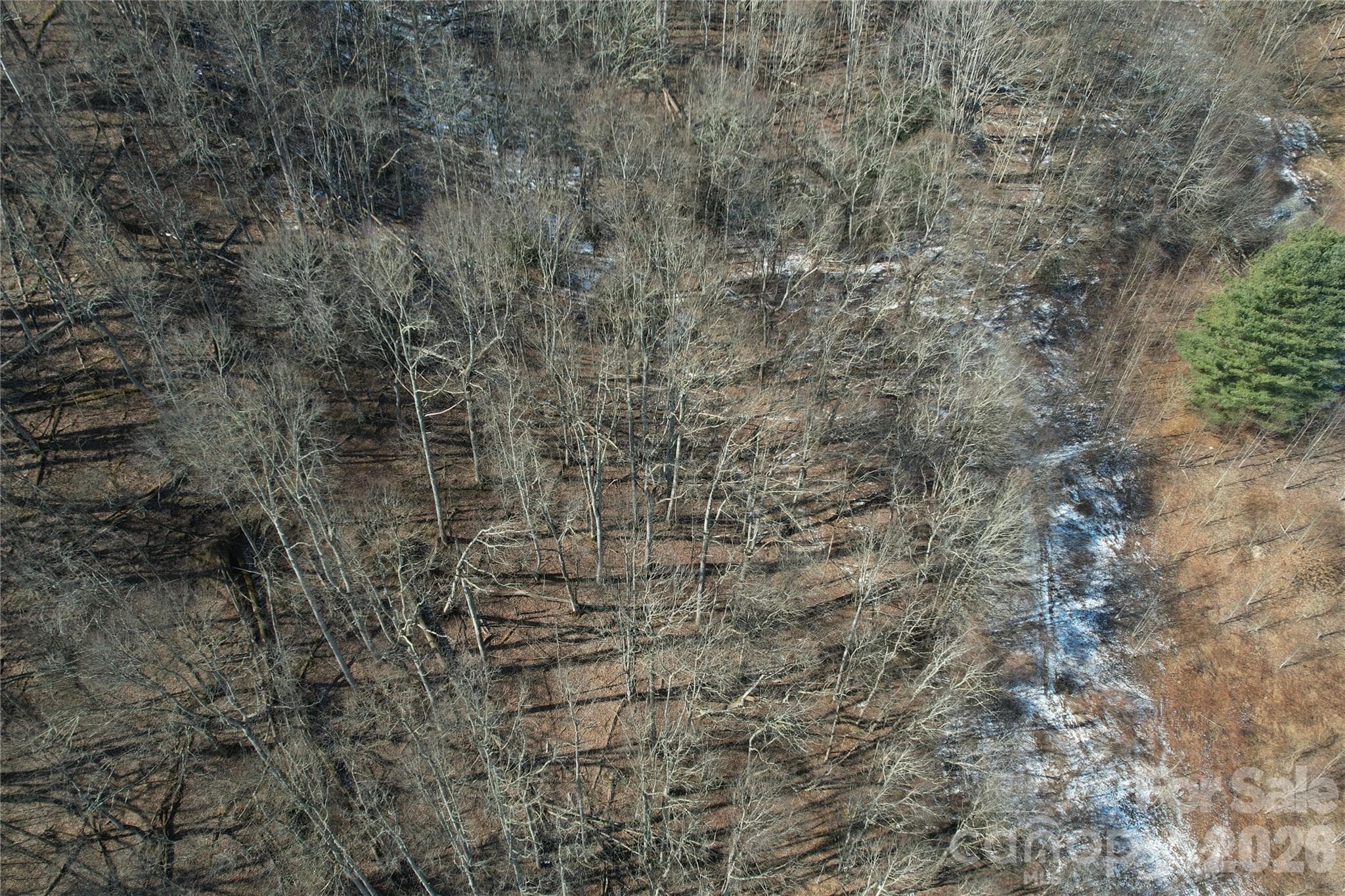 Acreage at 00 S US 19 Highway E, Newland, photo 22 of 22