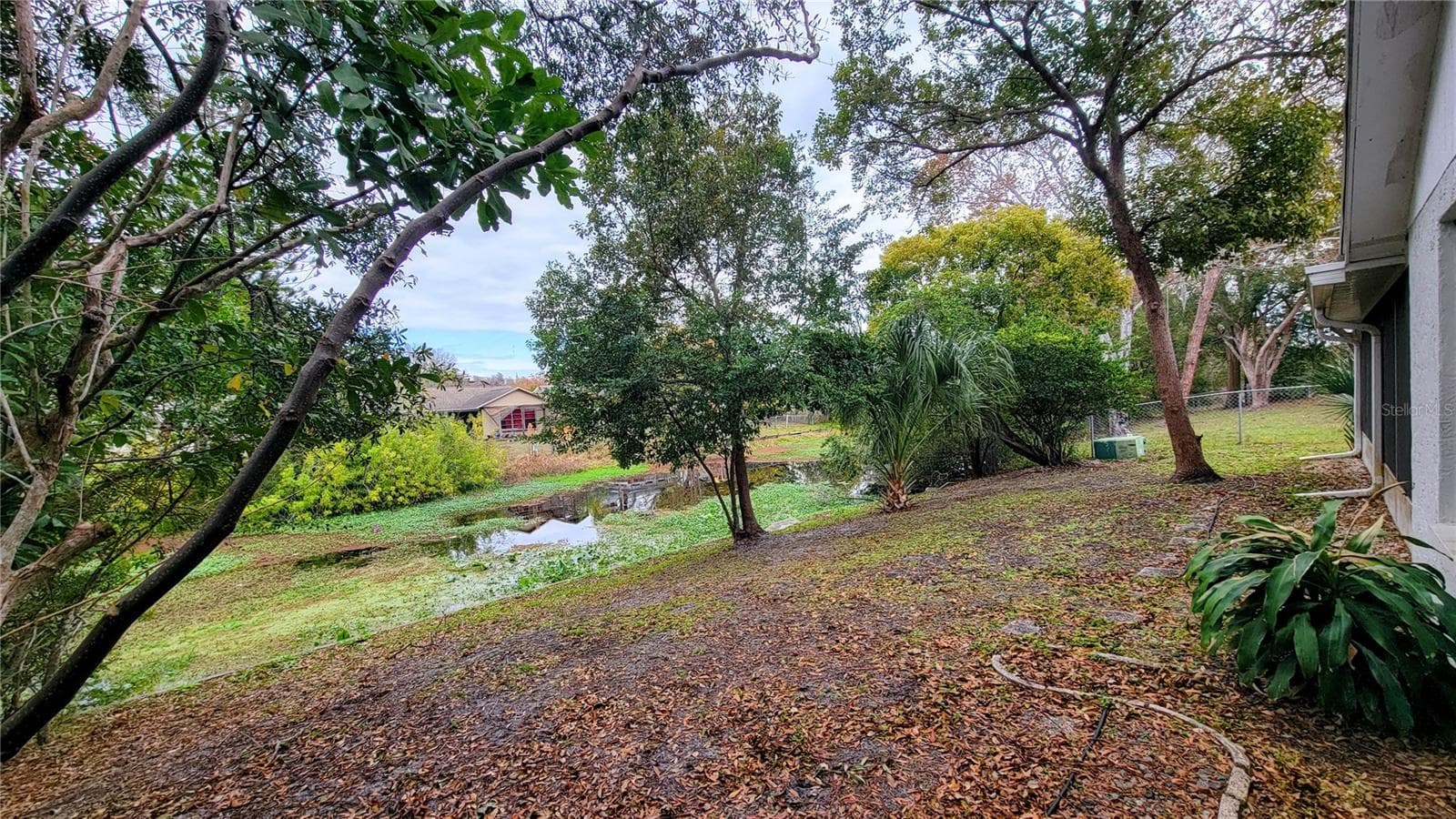 Backyard - 7051 WENTWORTH WAY, NEW PORT RICHEY