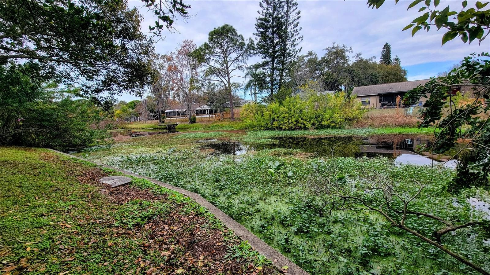 Backyard View - 7051 WENTWORTH WAY, NEW PORT RICHEY
