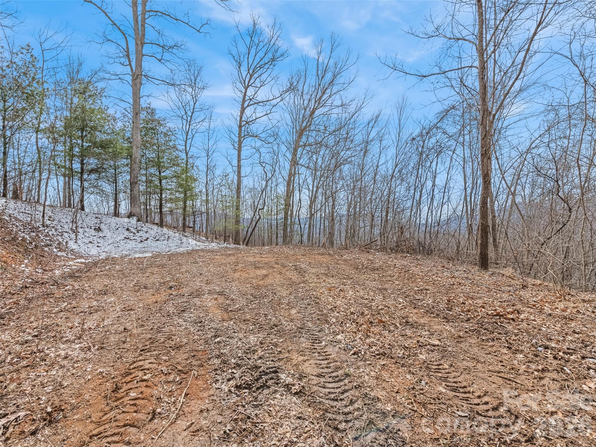 Lot at Waynesville, photo 5 of 7