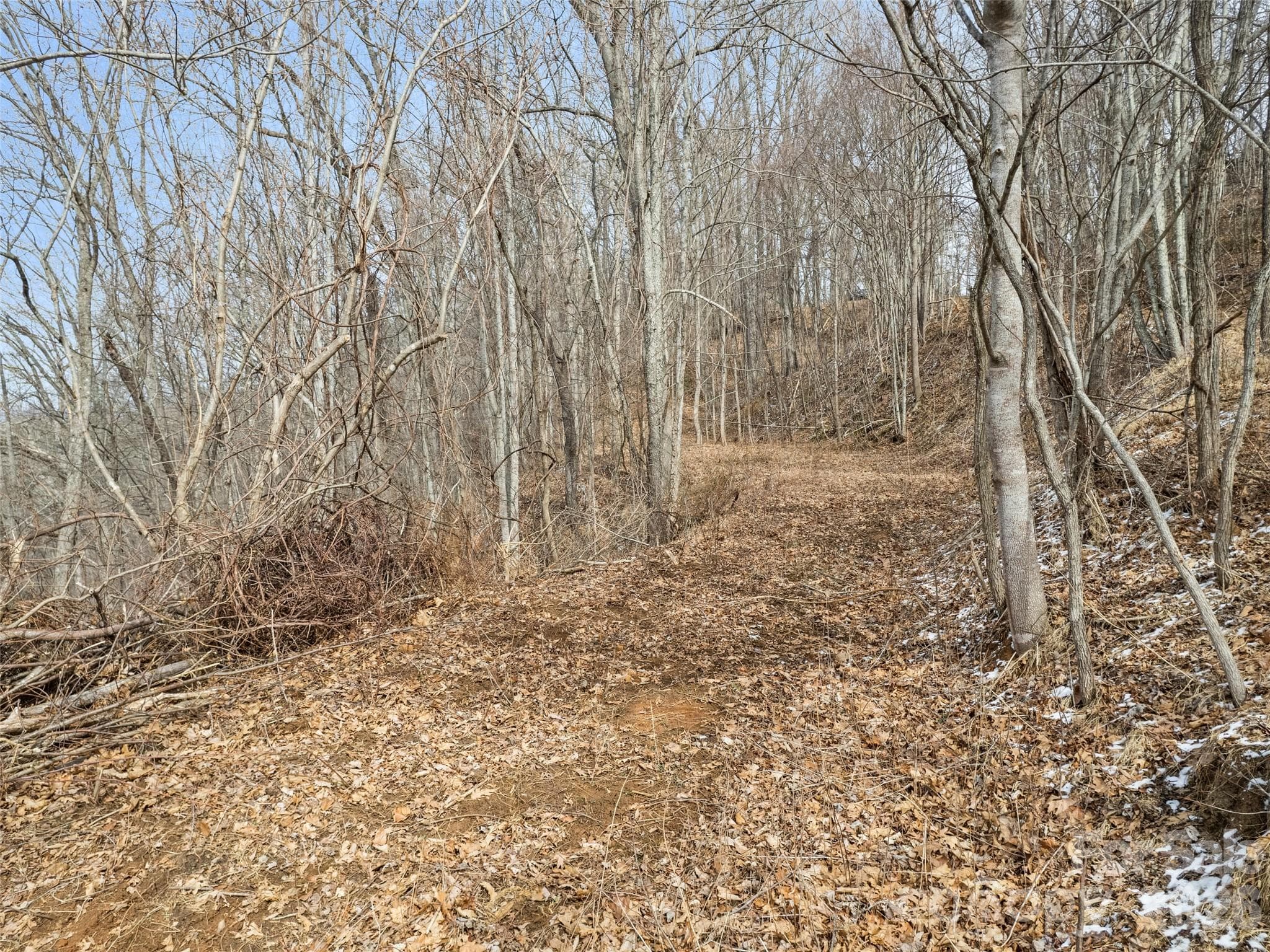 Lot at Waynesville, photo 5 of 9