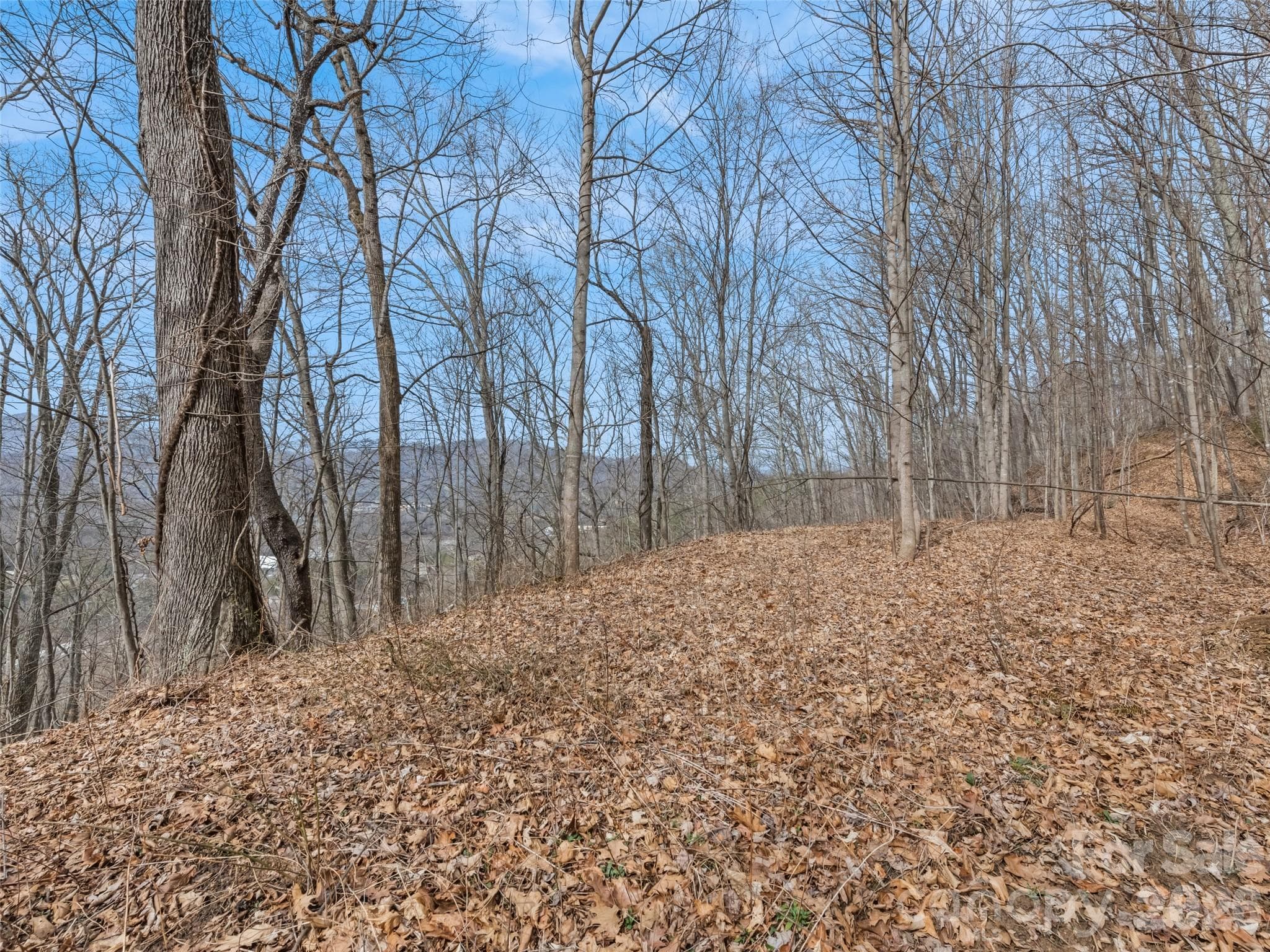 Lot at Waynesville, photo 7 of 9