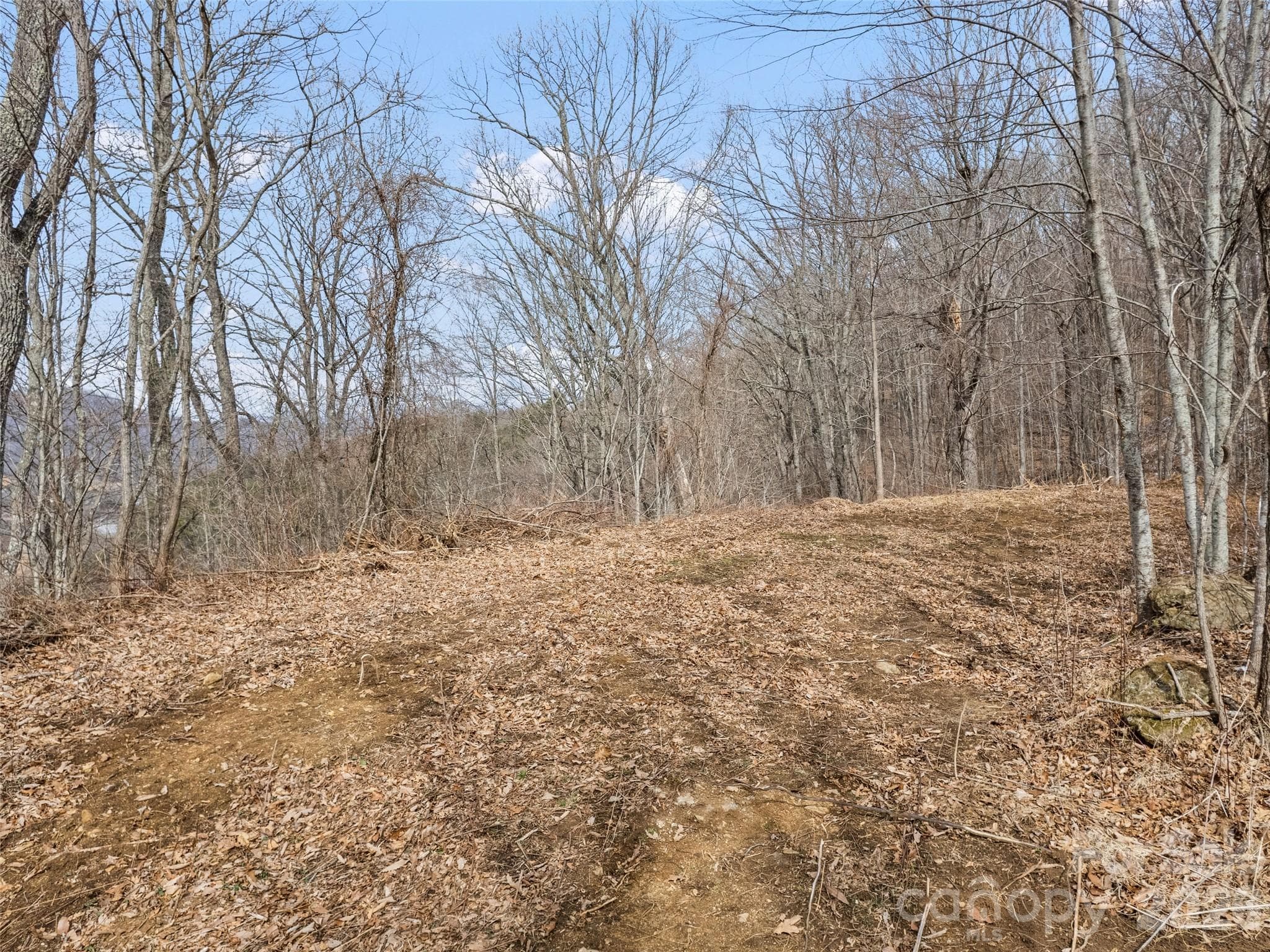 Lot at Waynesville, photo 6 of 24