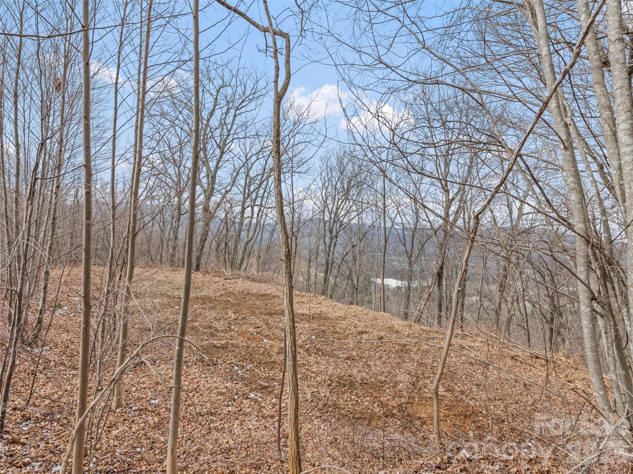 Lot at Waynesville, photo 7 of 24