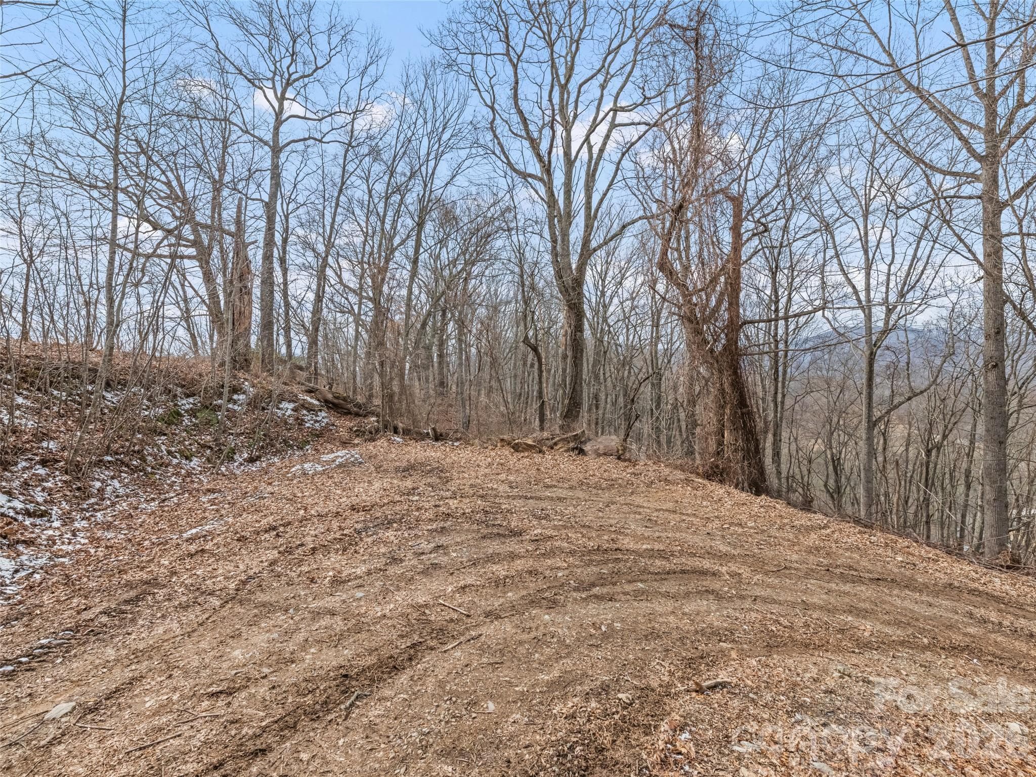 Lot at Waynesville, photo 15 of 24